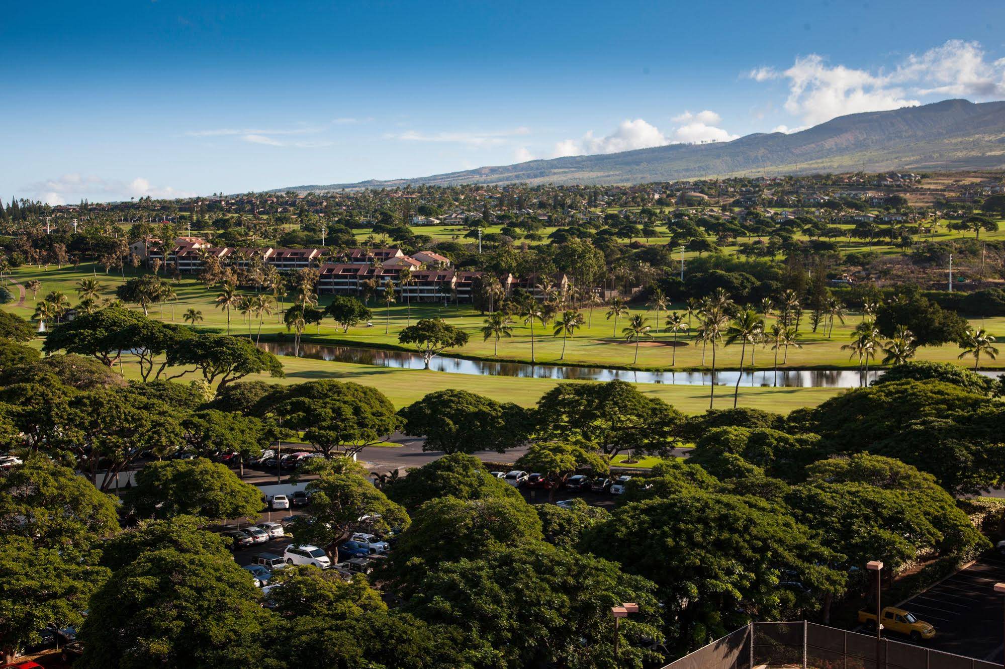 Kaanapali Alii