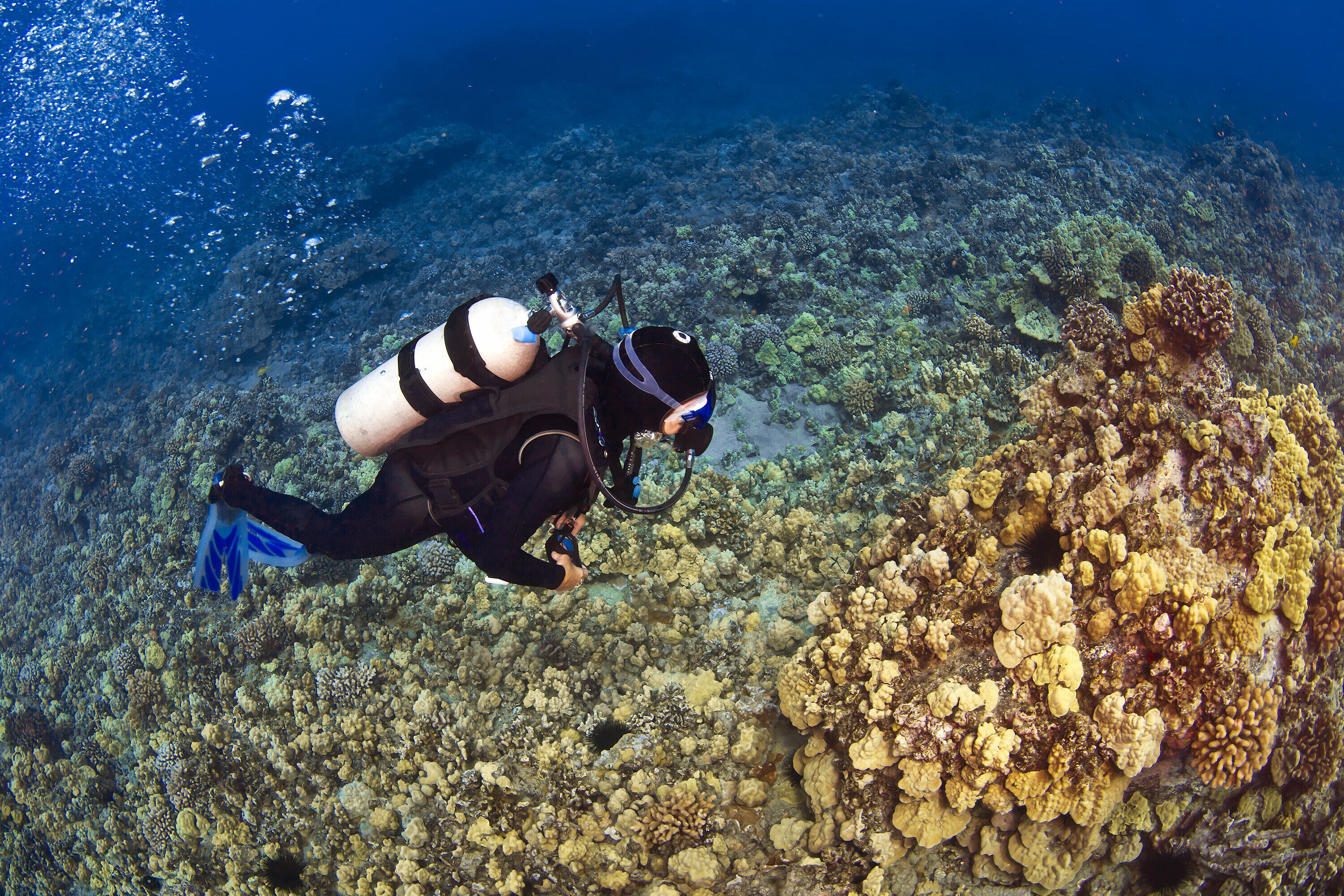 Mahana at Ka'anapali