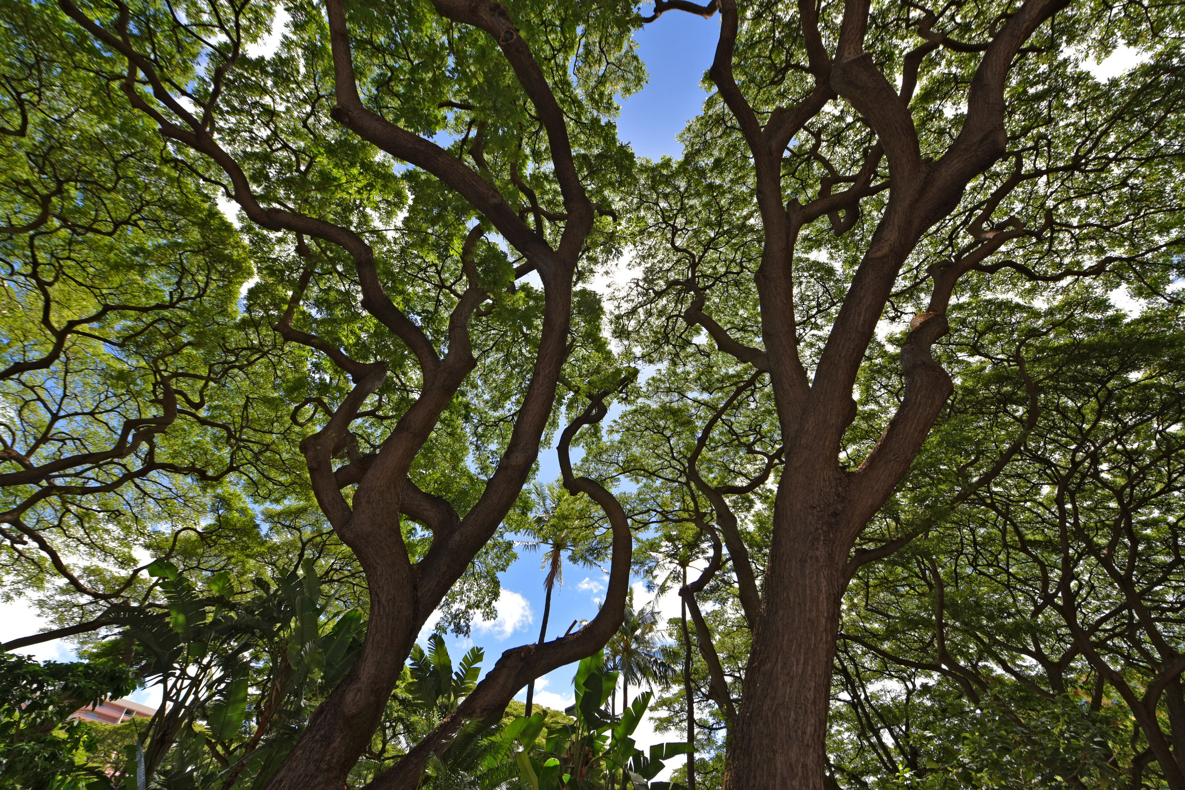 Mahana at Ka'anapali