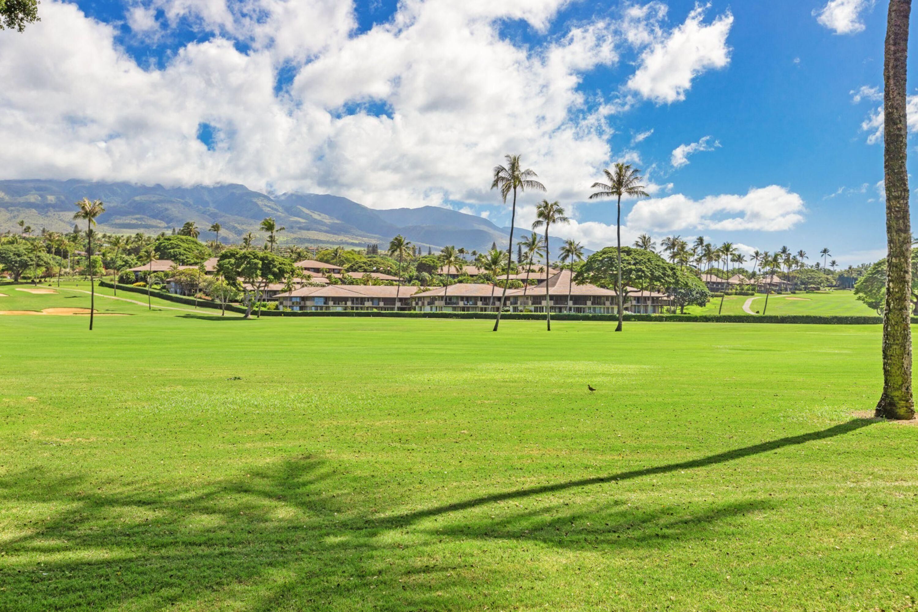 Maui Eldorado by Maui Life Realty
