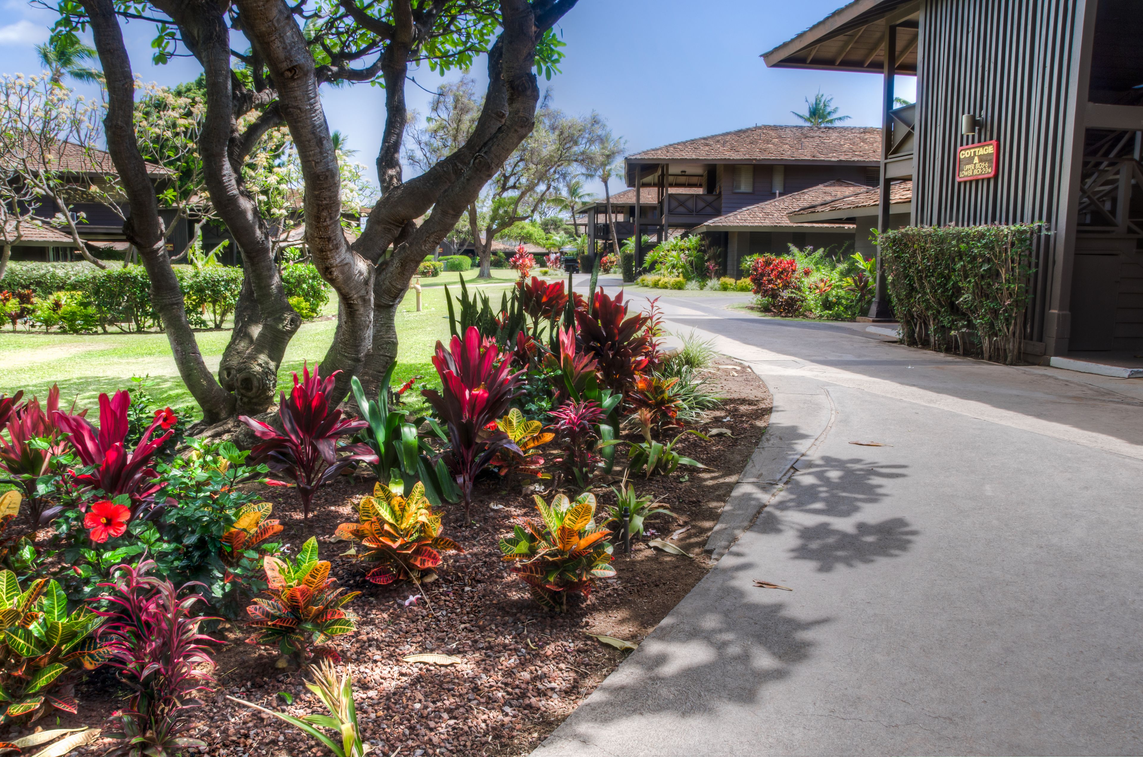 Royal Lahaina Resort & Bungalows