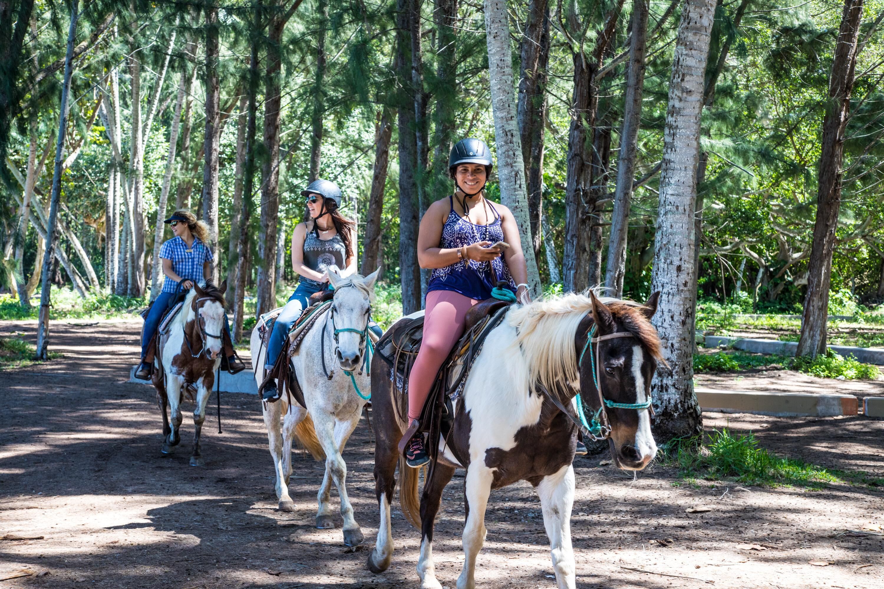 Ocean Bungalows At Turtle Bay Resort