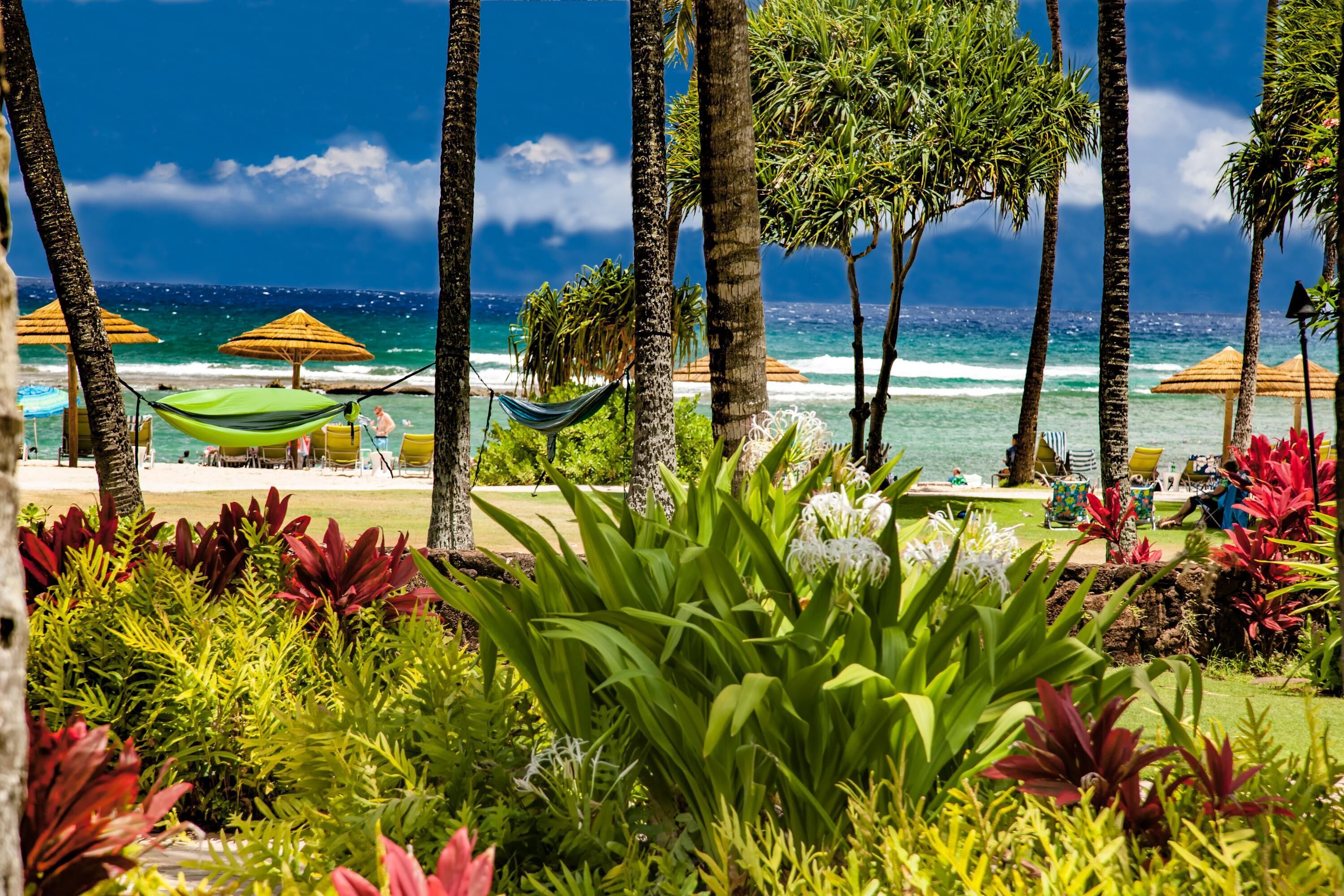 Ocean Bungalows At Turtle Bay Resort