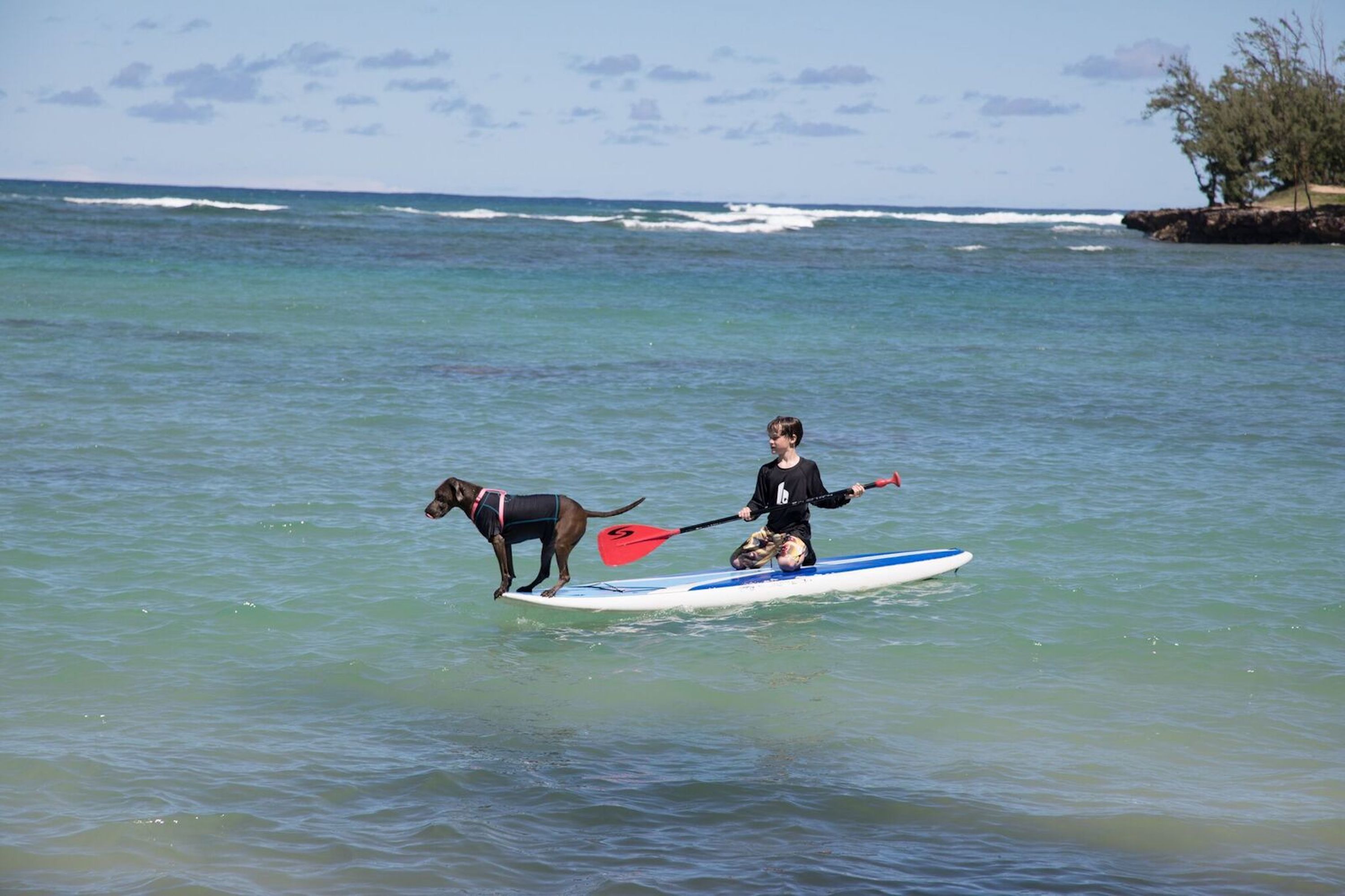 Ocean Bungalows At Turtle Bay Resort