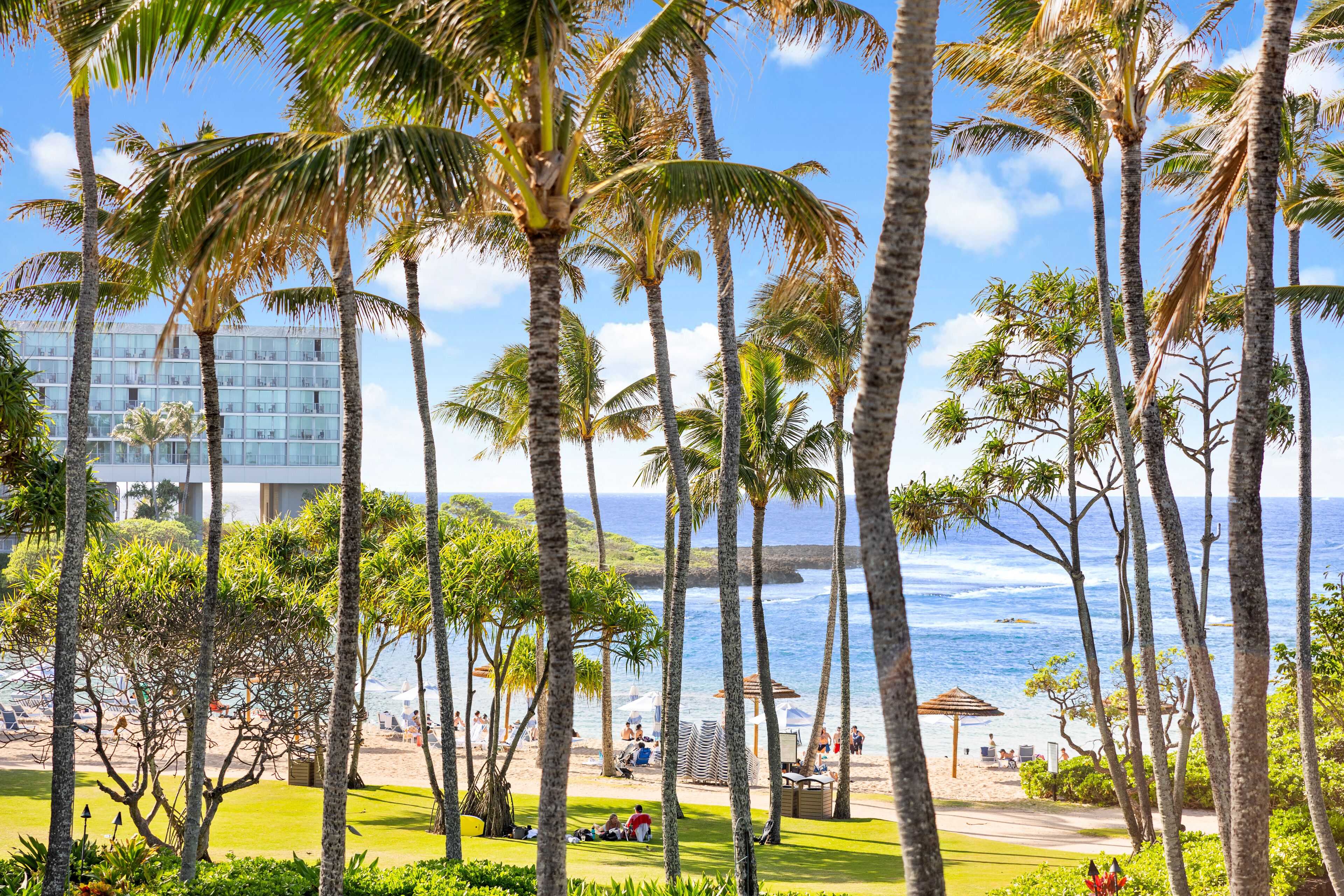Ocean Bungalows At Turtle Bay Resort