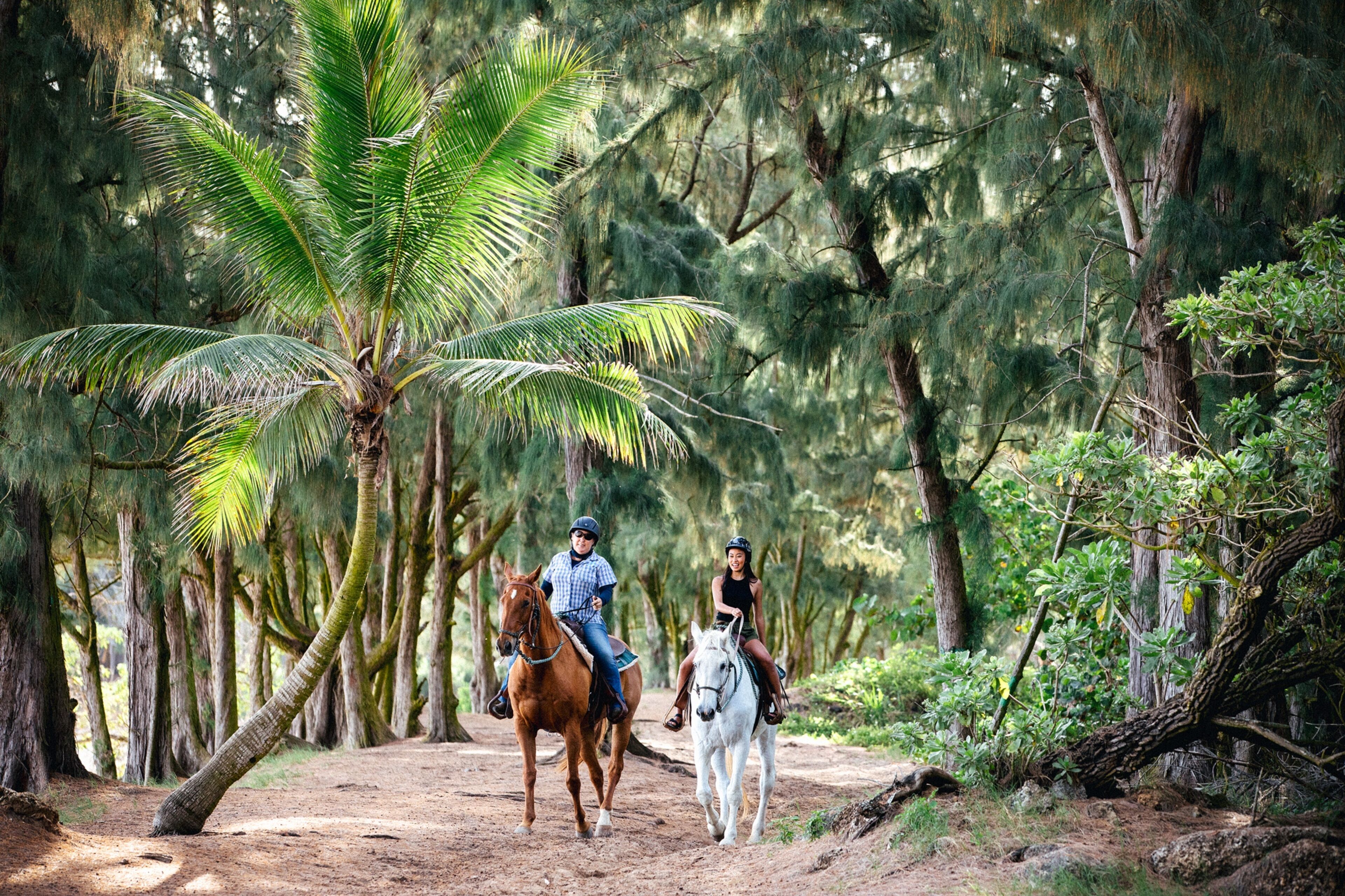 Ocean Bungalows At Turtle Bay Resort