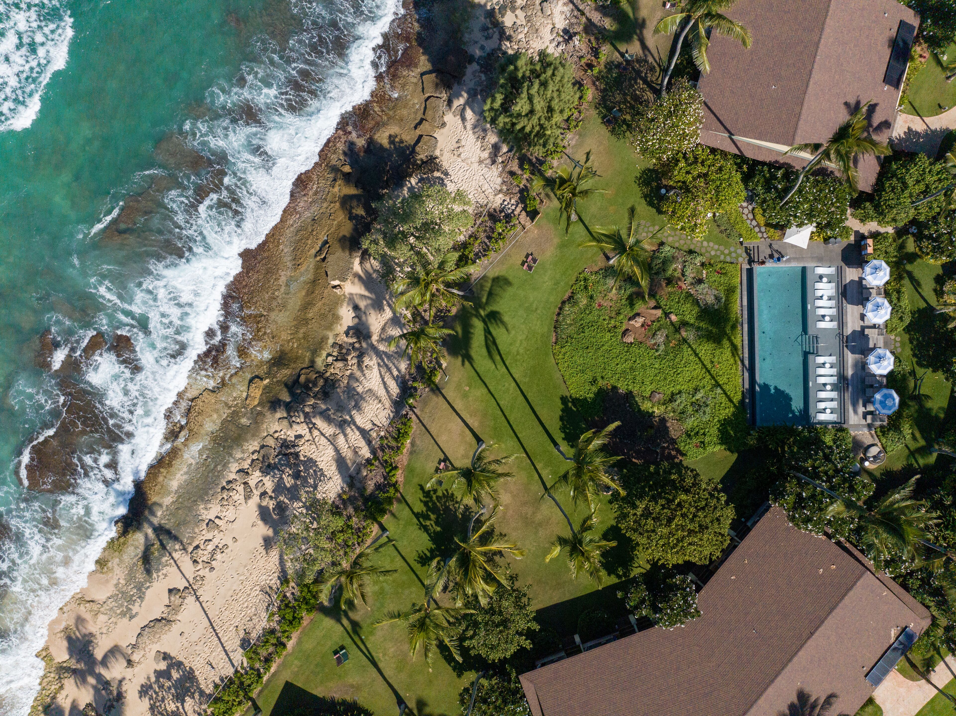 Ocean Bungalows At Turtle Bay Resort