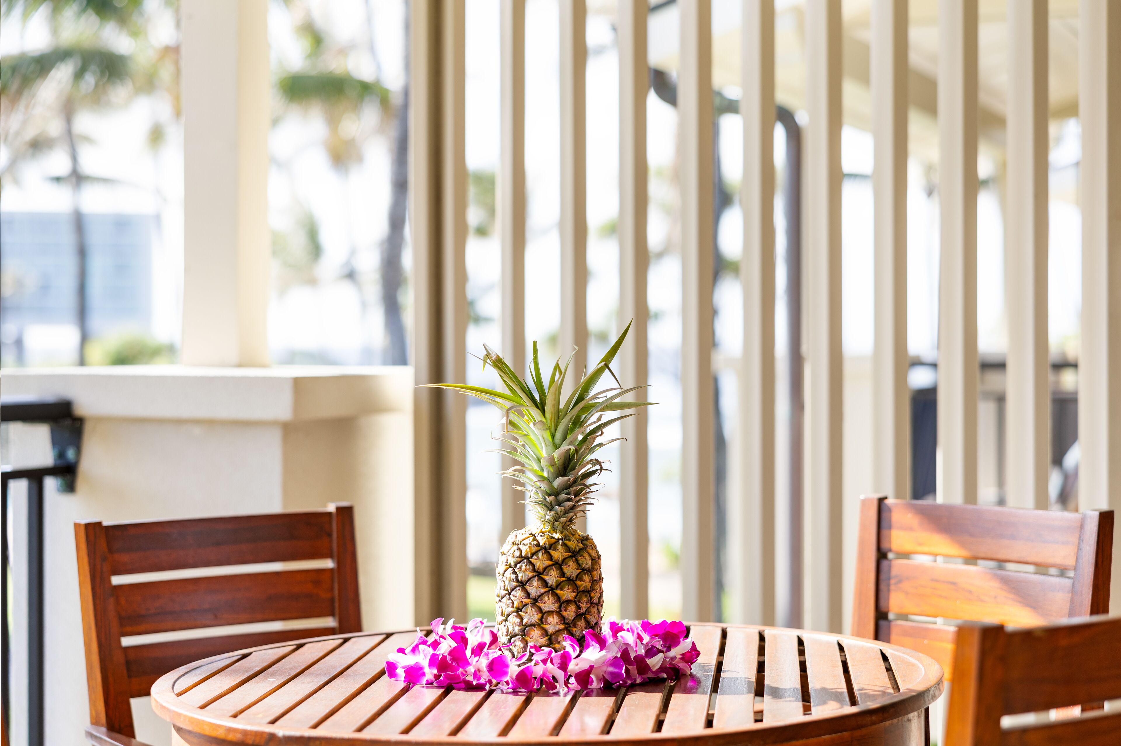 Ocean Bungalows At Turtle Bay Resort