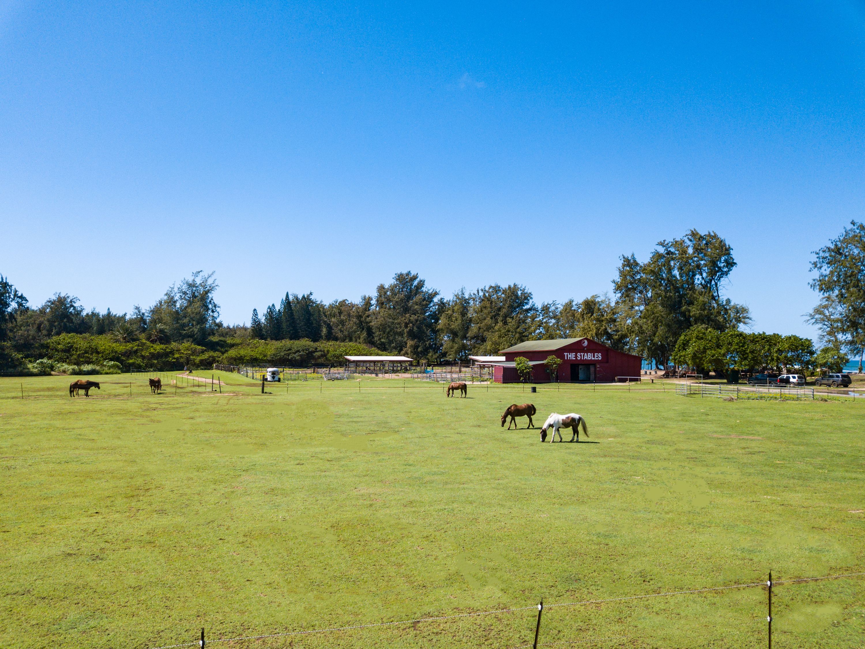 Ocean Bungalows At Turtle Bay Resort