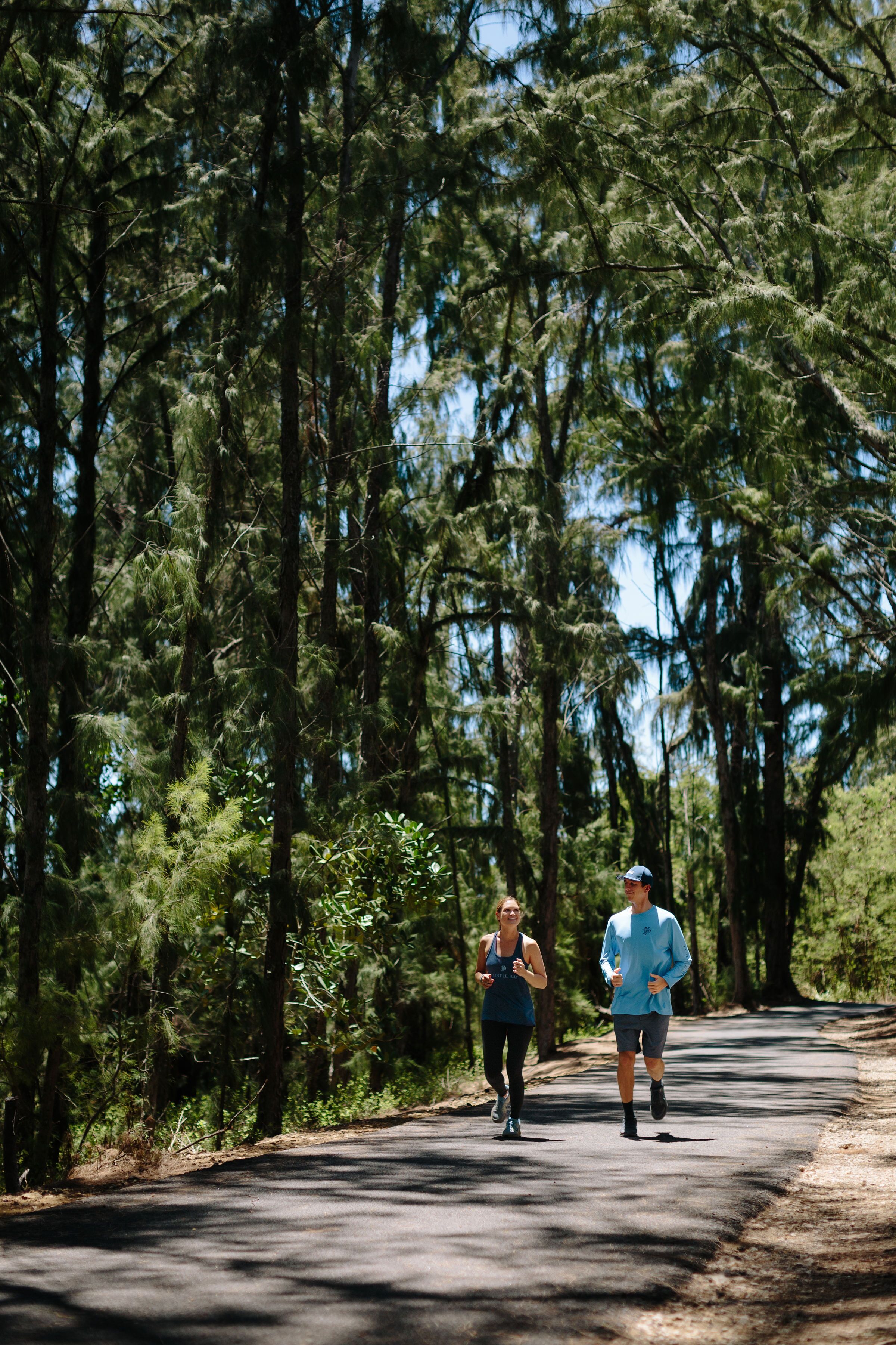 Ocean Bungalows At Turtle Bay Resort