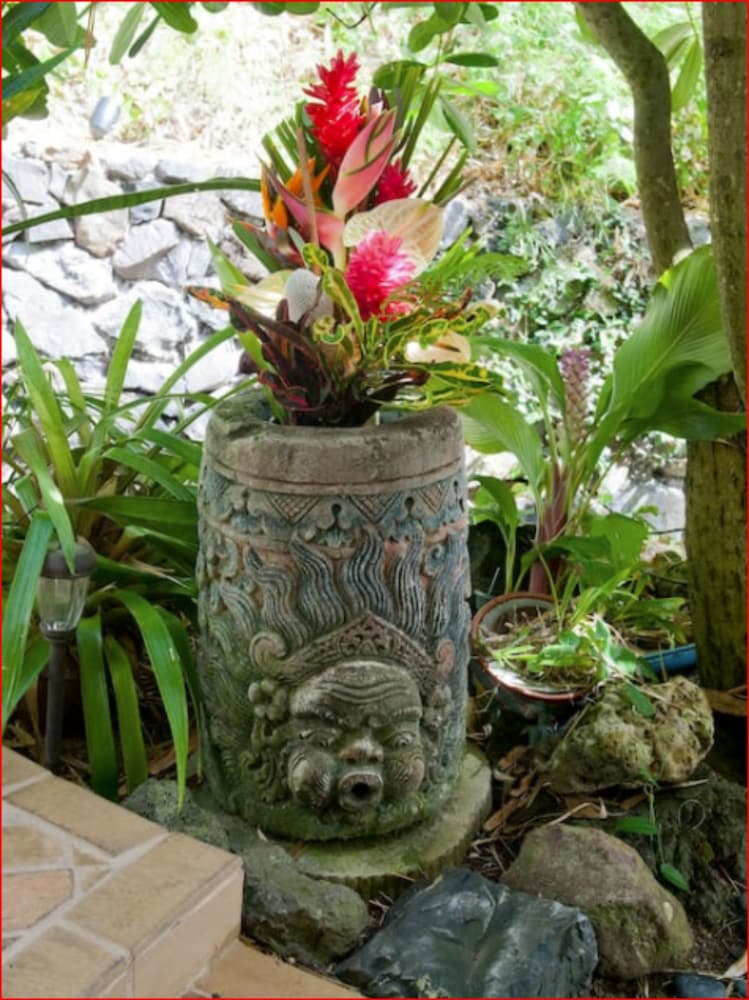 Hawaii’s Hidden Hideaway Bed & Breakfast