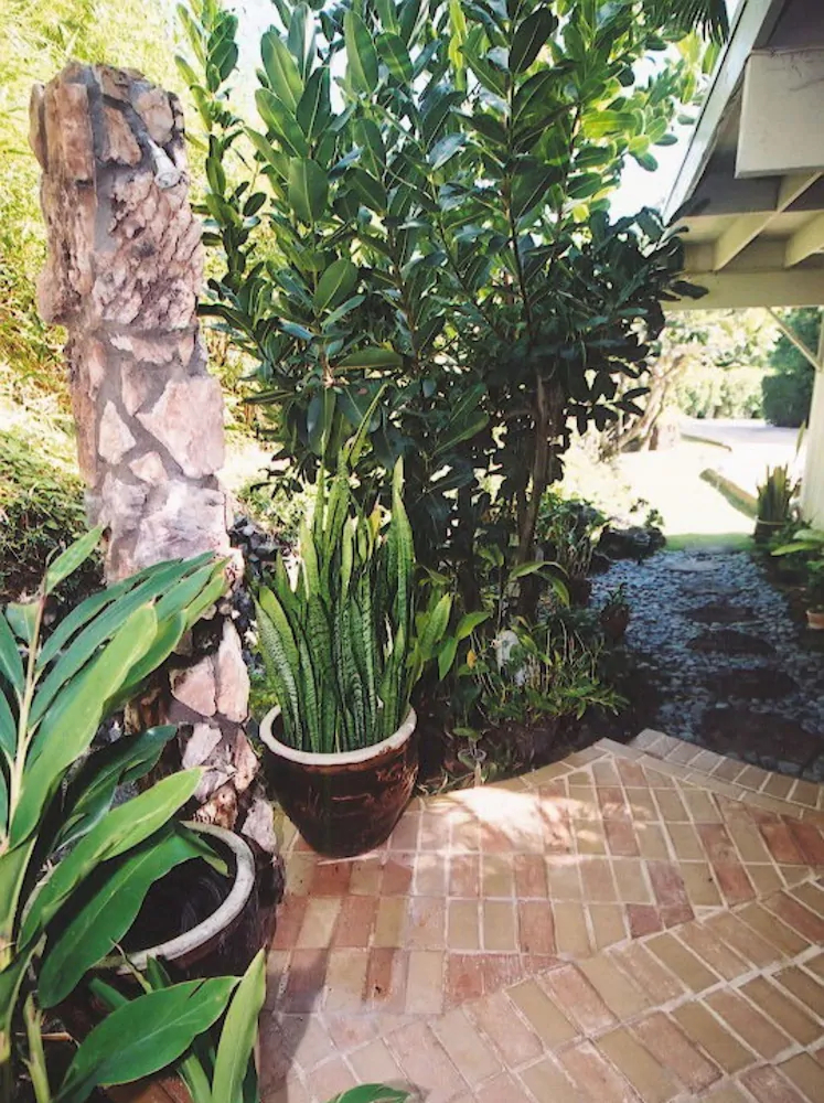 Hawaii’s Hidden Hideaway Bed & Breakfast