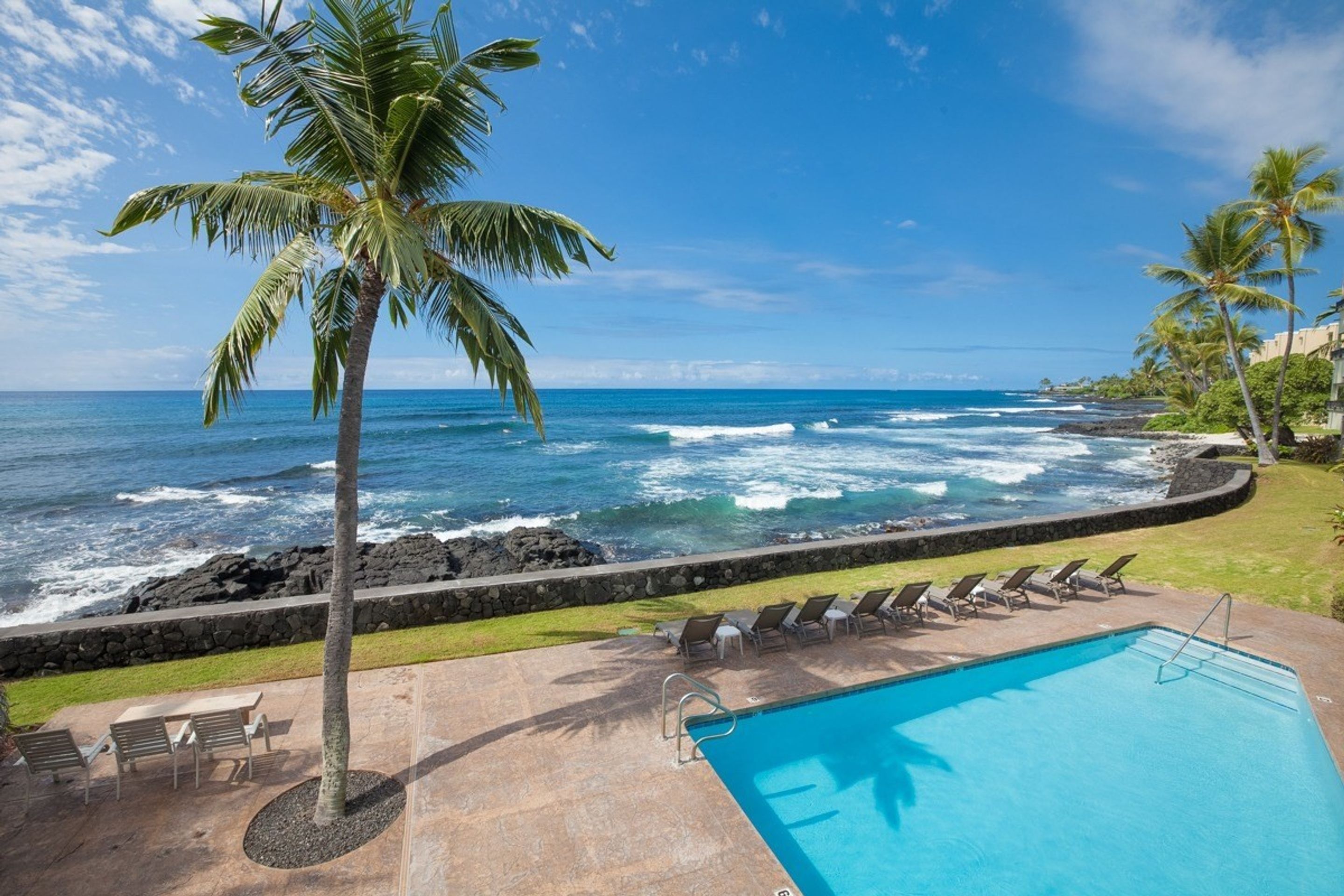 Banyan Tree by Kona Now