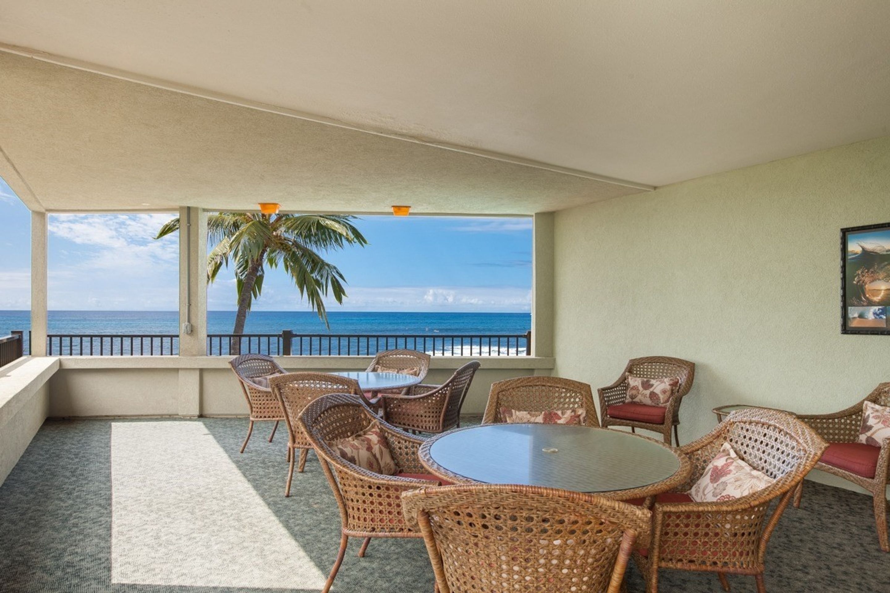 Banyan Tree by Kona Now