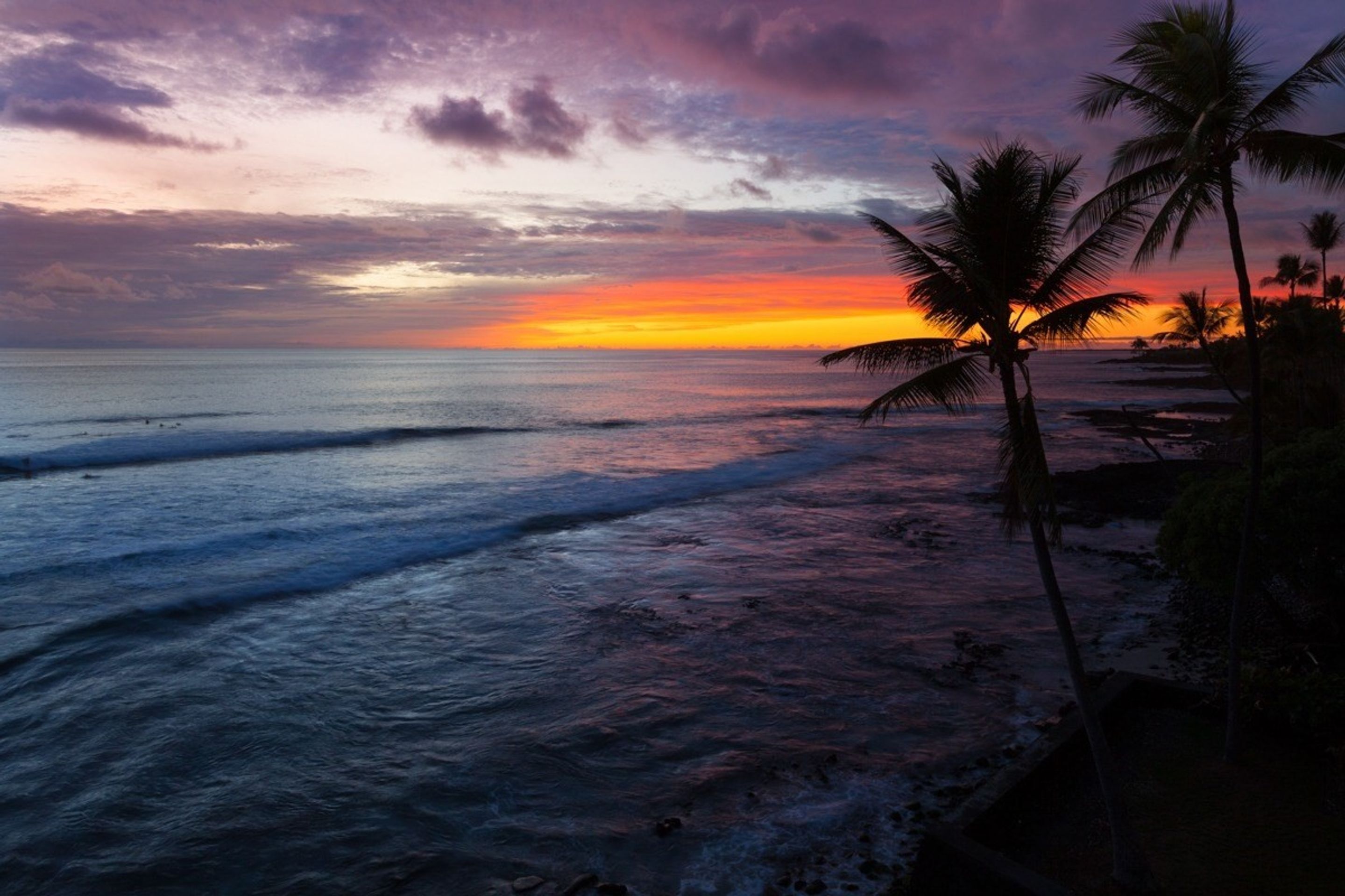 Banyan Tree by Kona Now