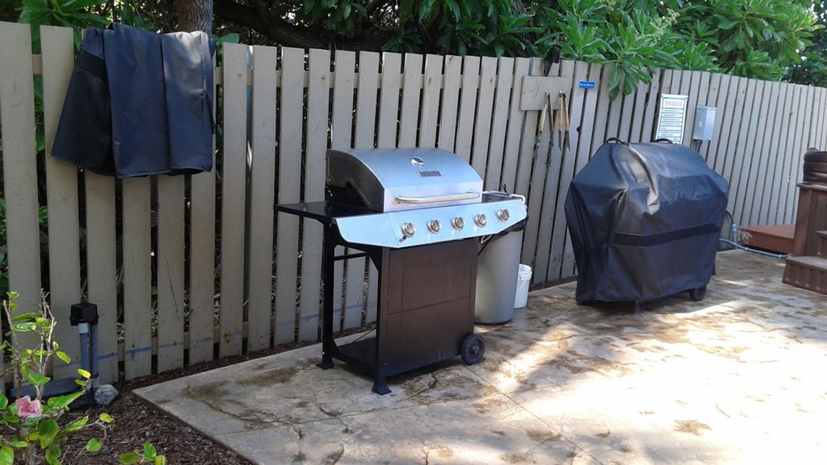 Banyan Tree by Kona Now