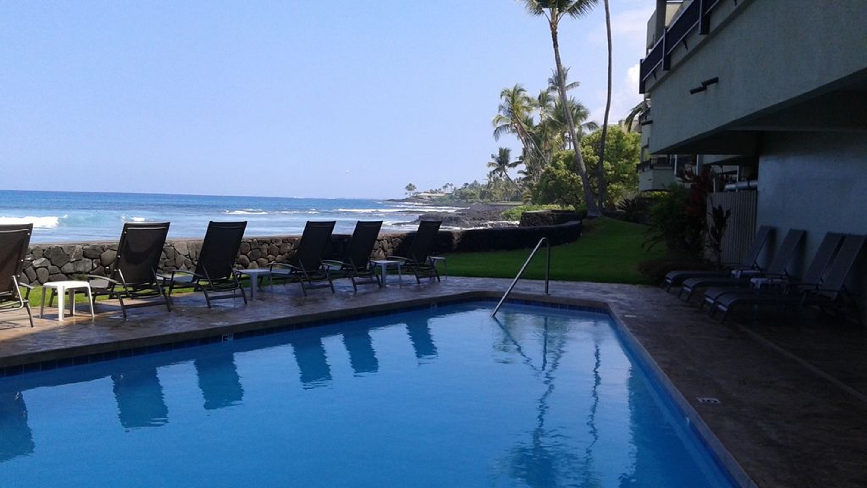 Banyan Tree by Kona Now