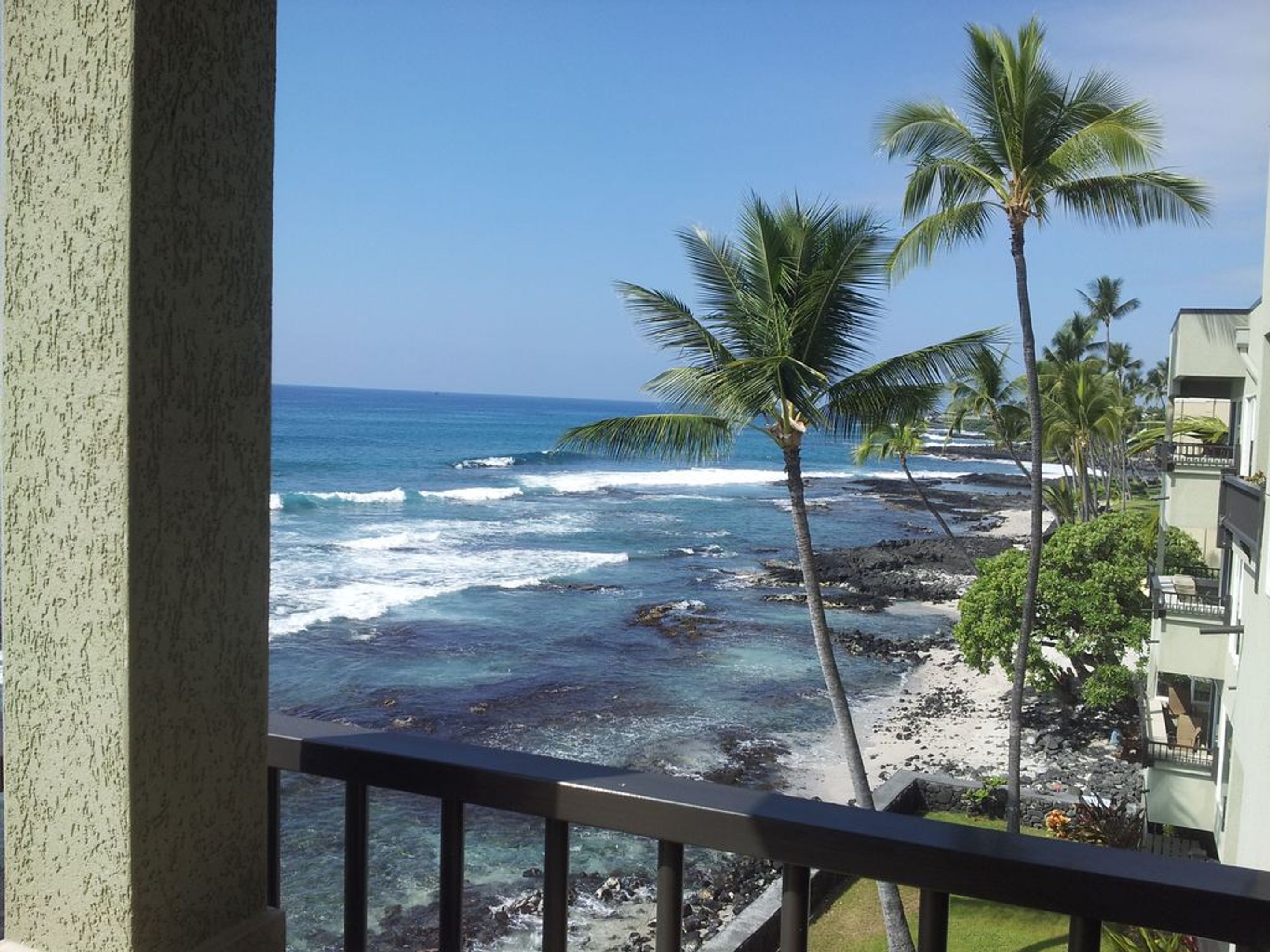 Banyan Tree by Kona Now