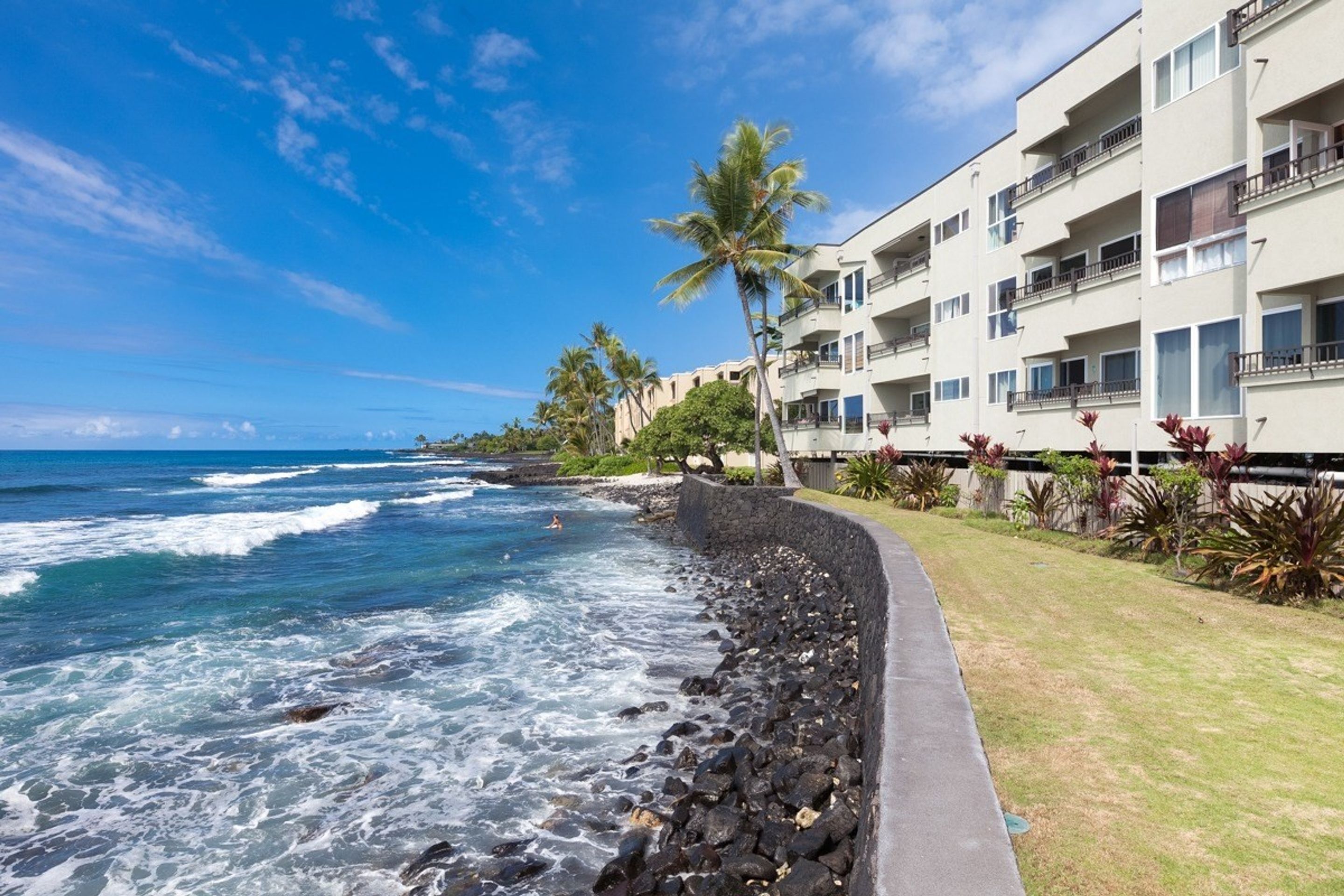 Banyan Tree by Kona Now