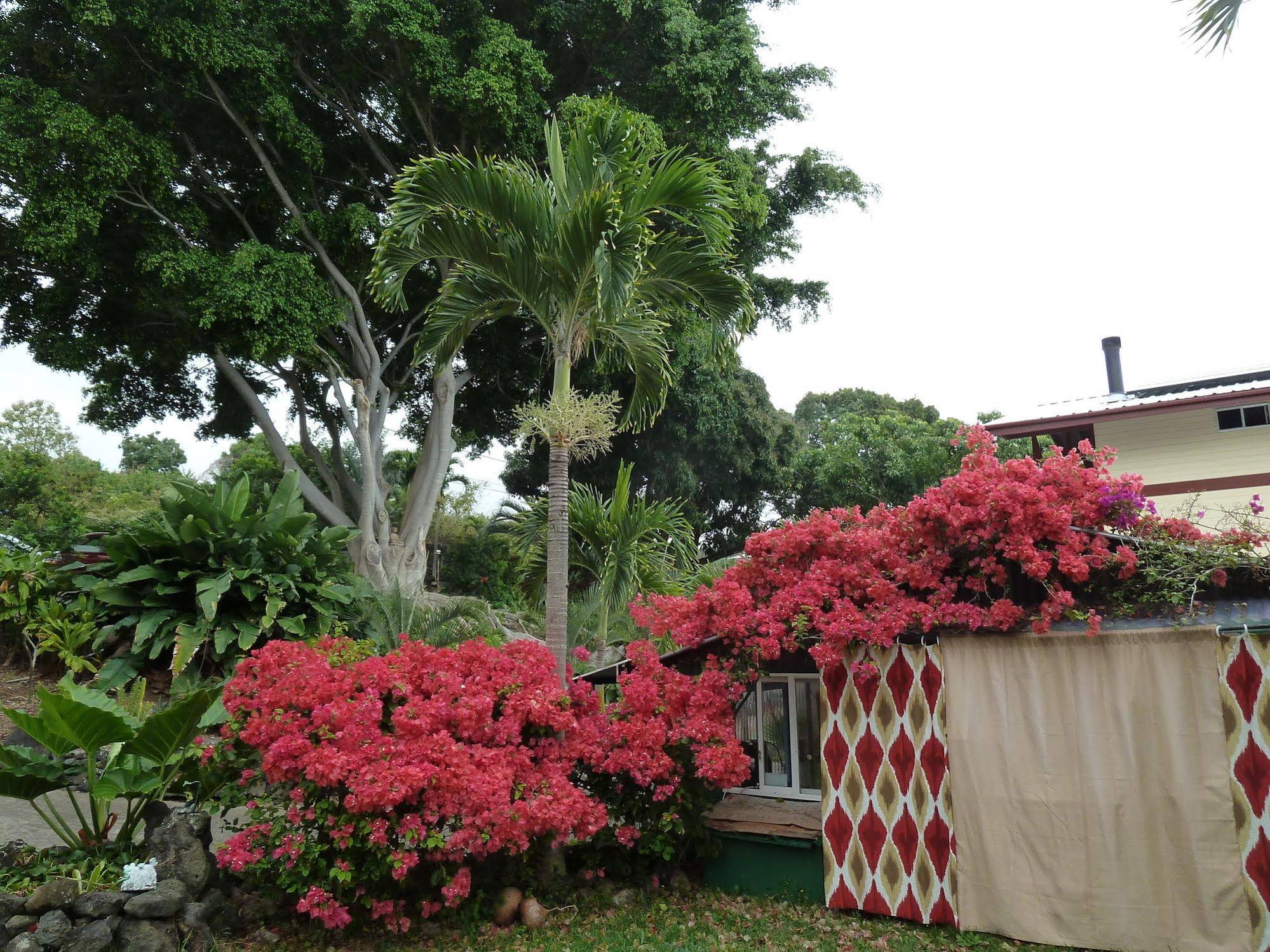 Banyan Tree Sanctuary