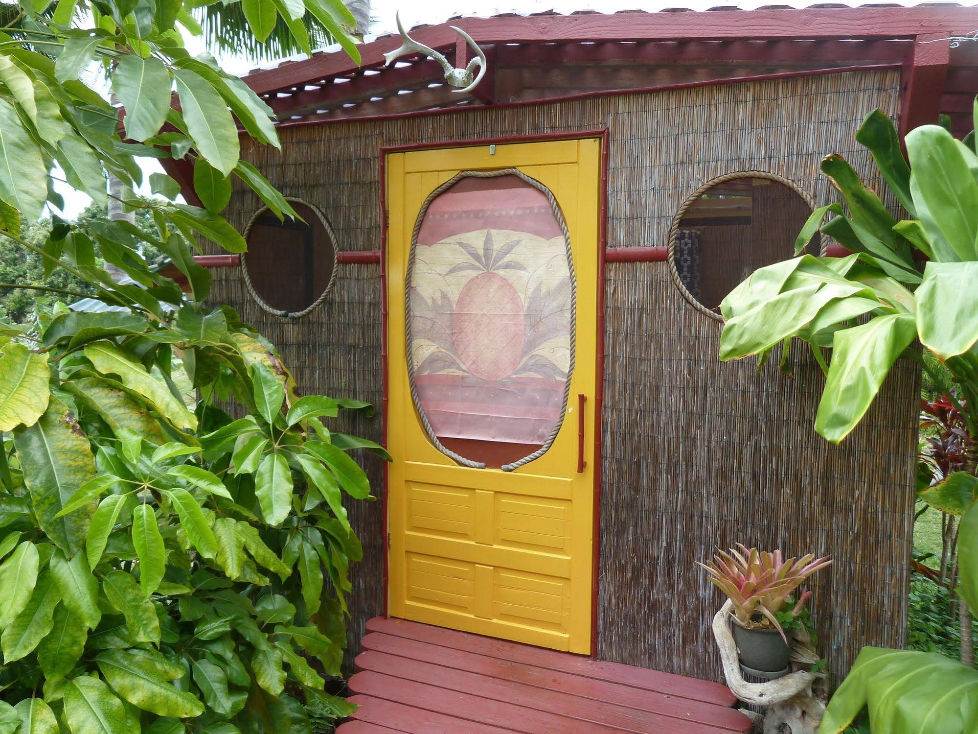 Banyan Tree Sanctuary