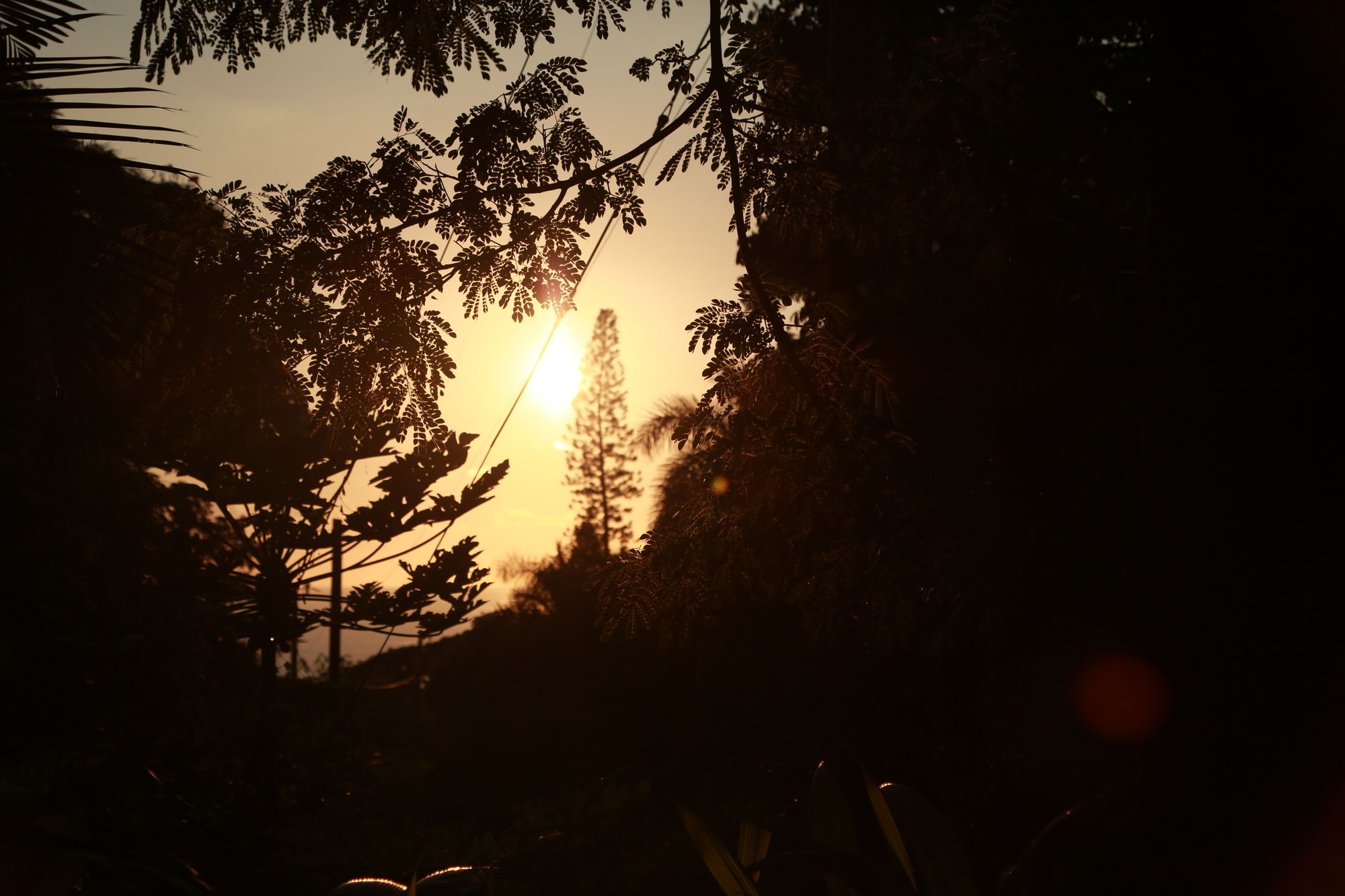 Hale Maluhia Country Inn