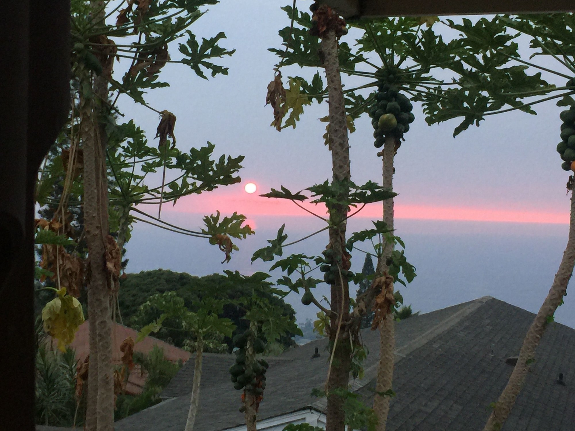Kona Hawaii Guest House