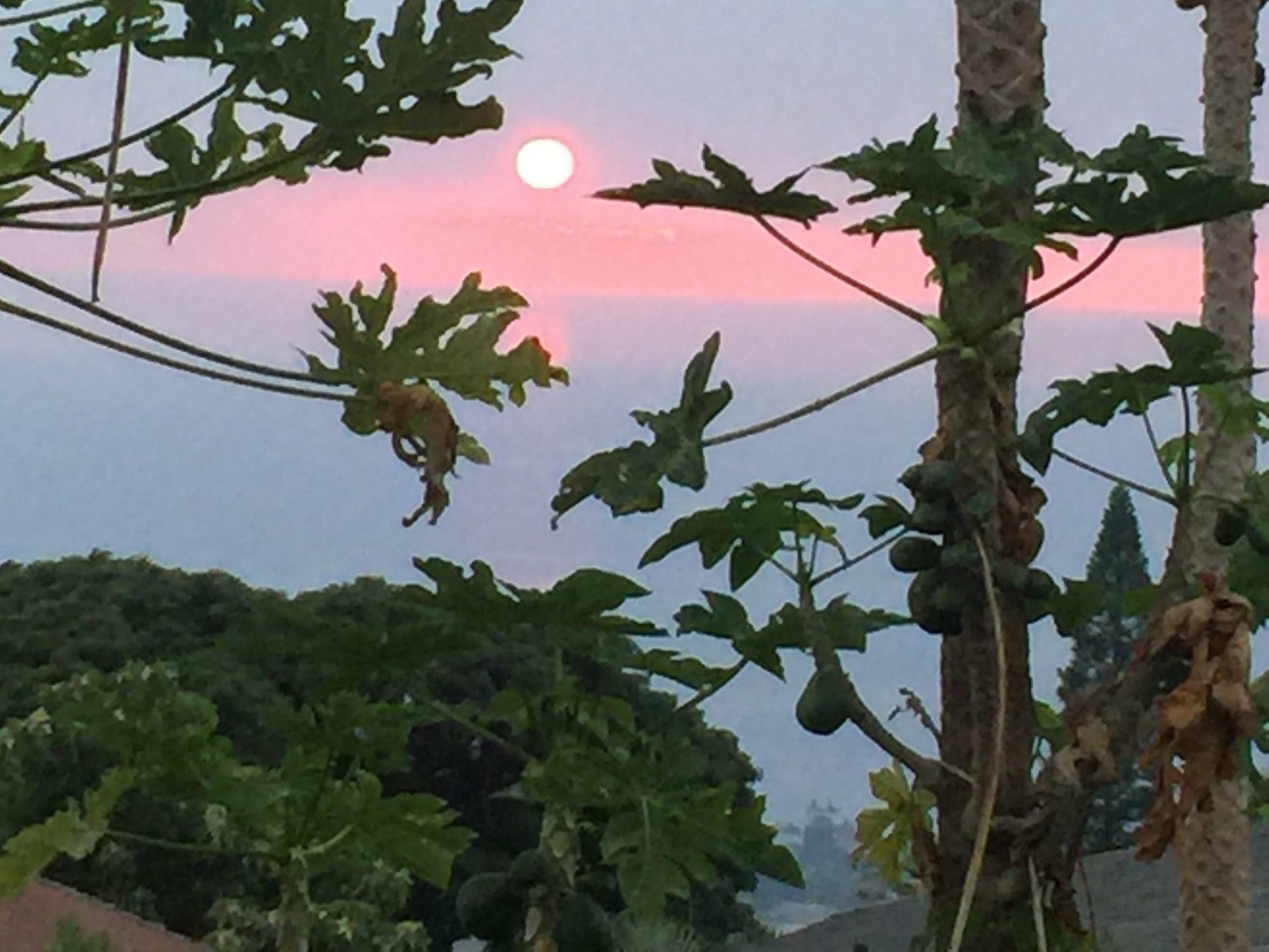 Kona Hawaii Guest House