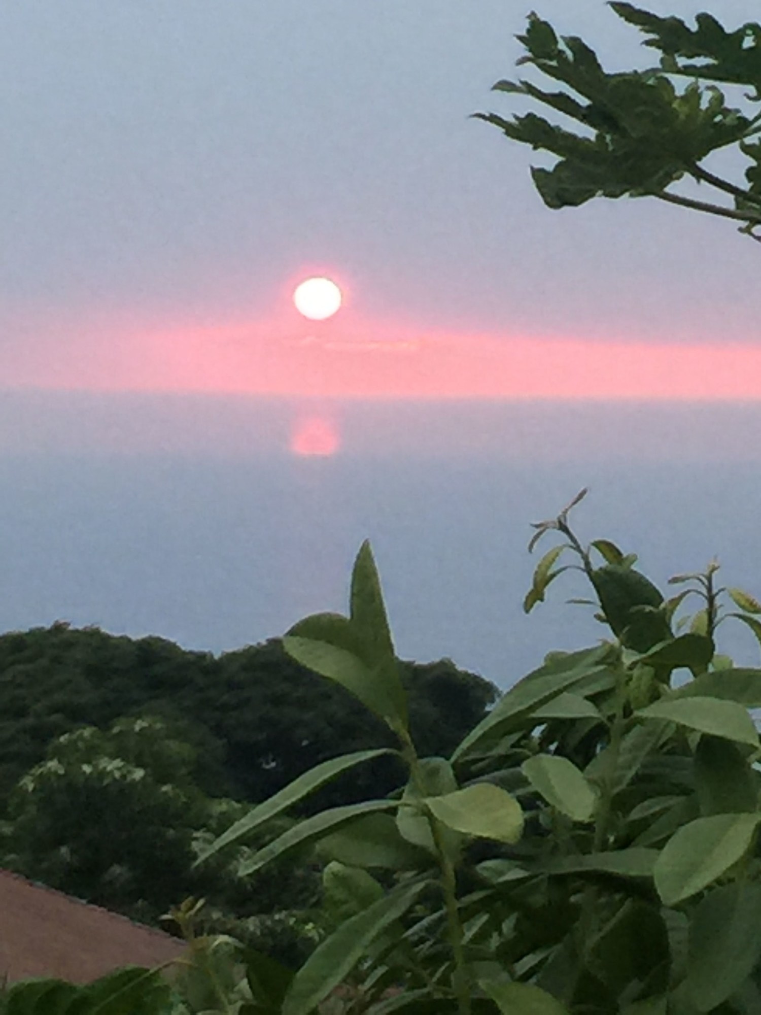 Kona Hawaii Guest House