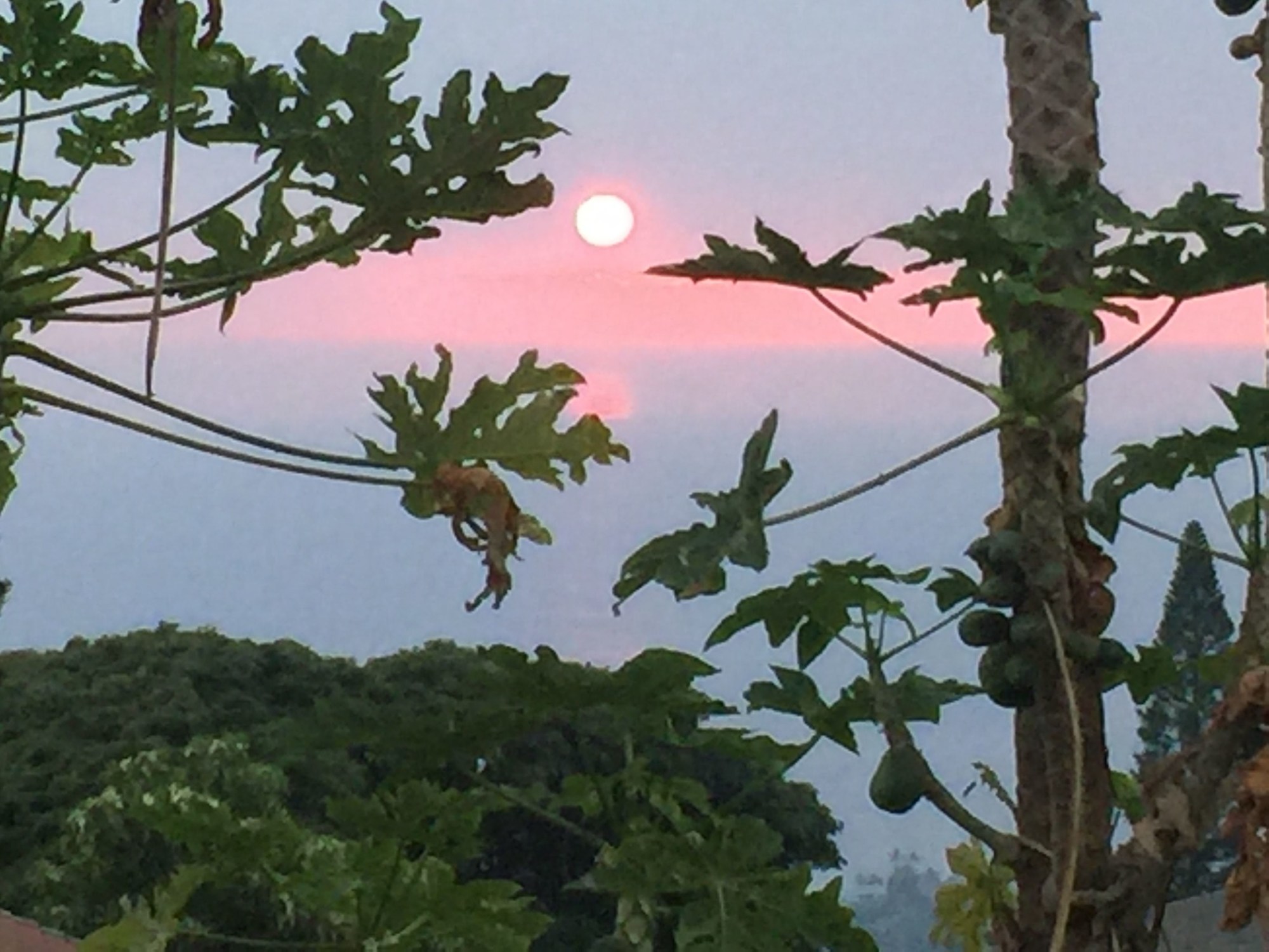 Kona Hawaii Guest House