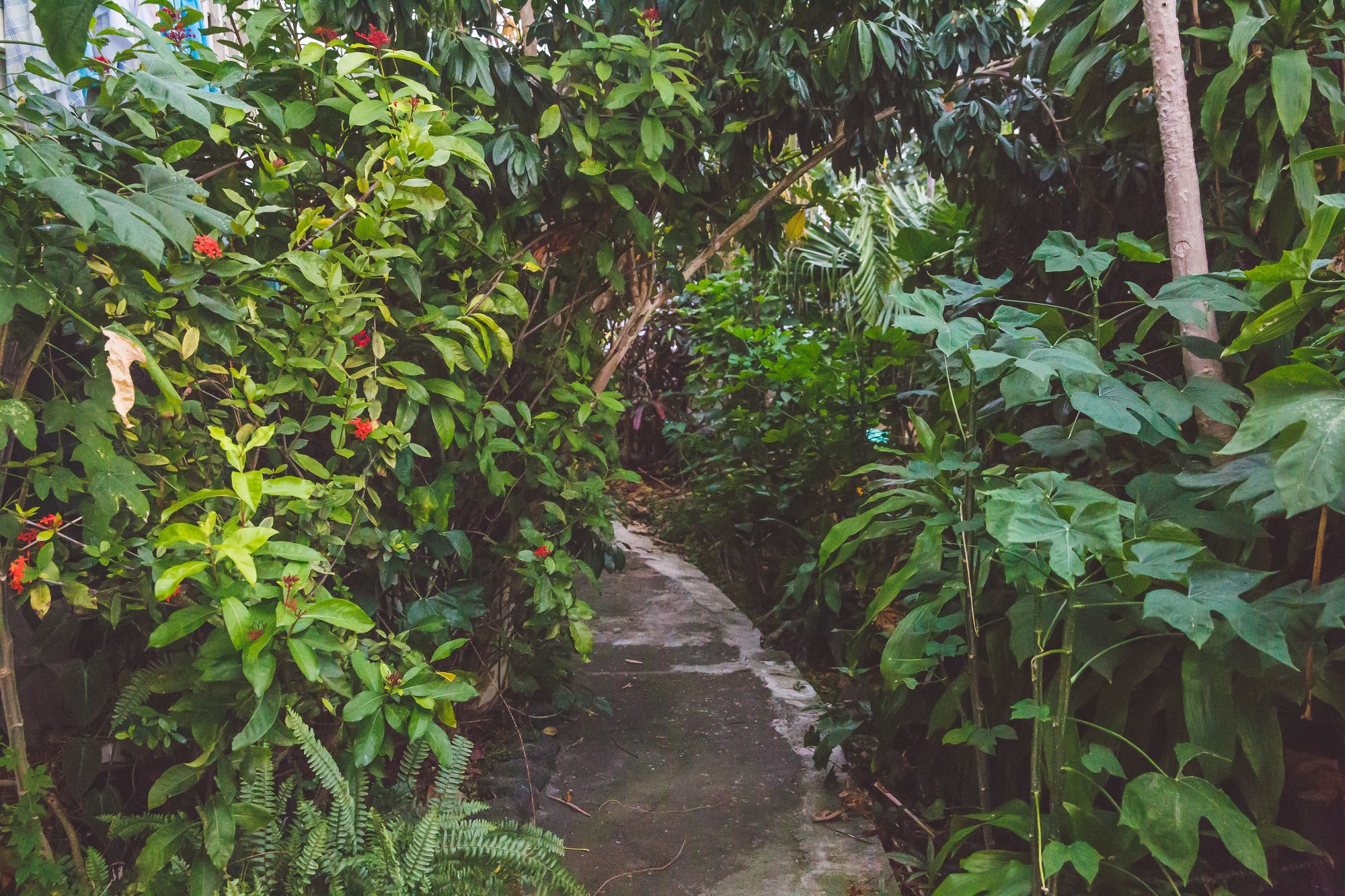 Kona Hawaii Guest House