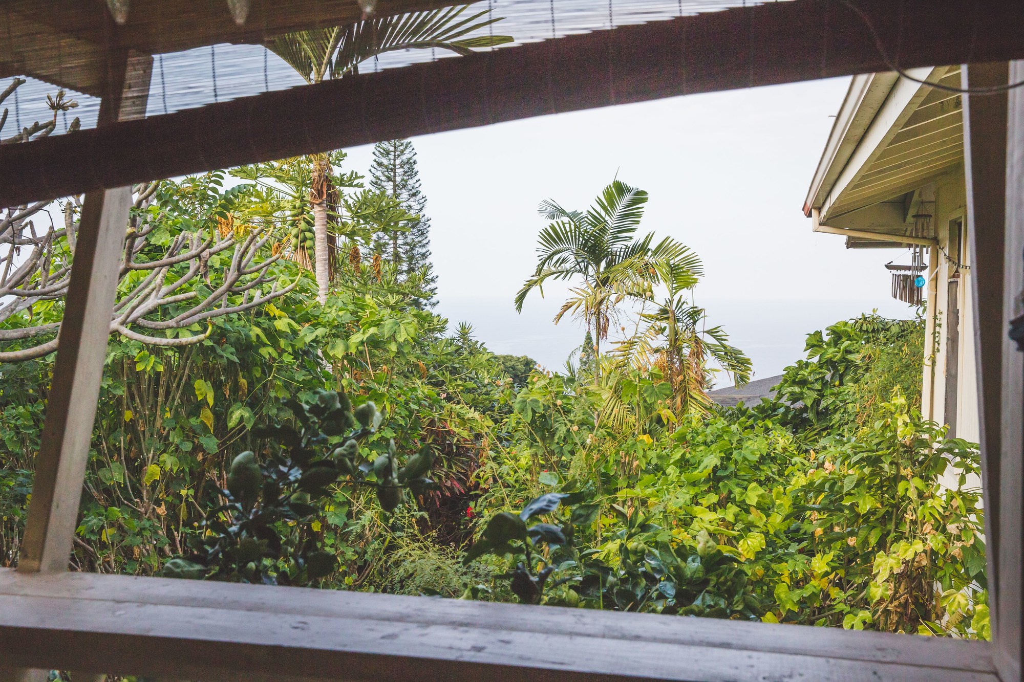 Kona Hawaii Guest House