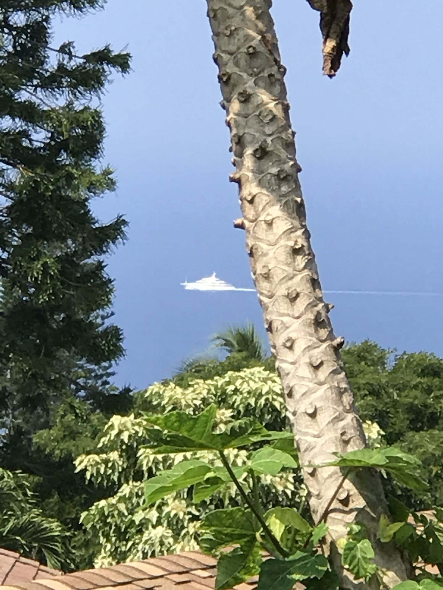 Kona Hawaii Guest House
