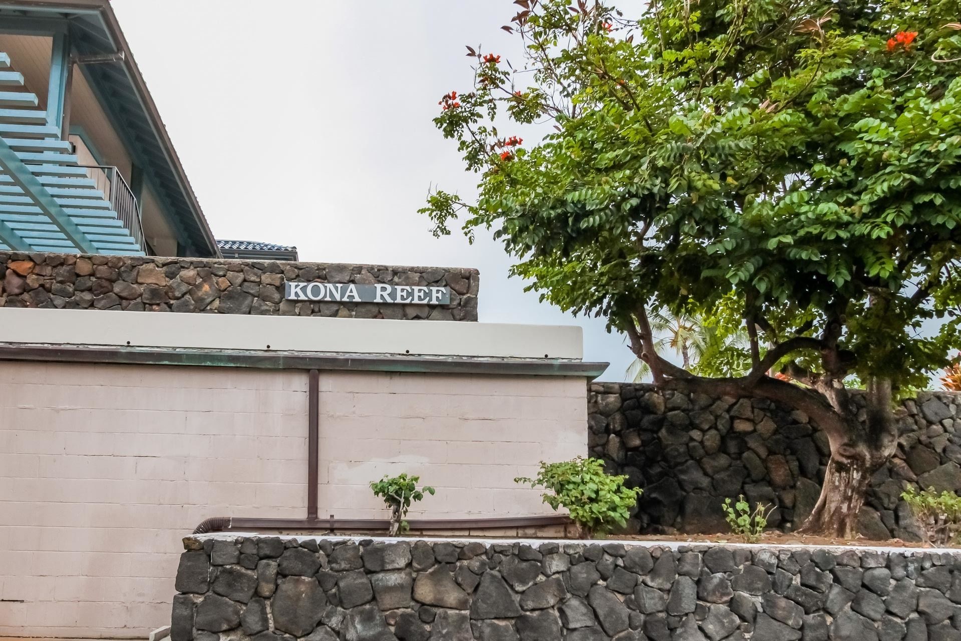 Kona Reef