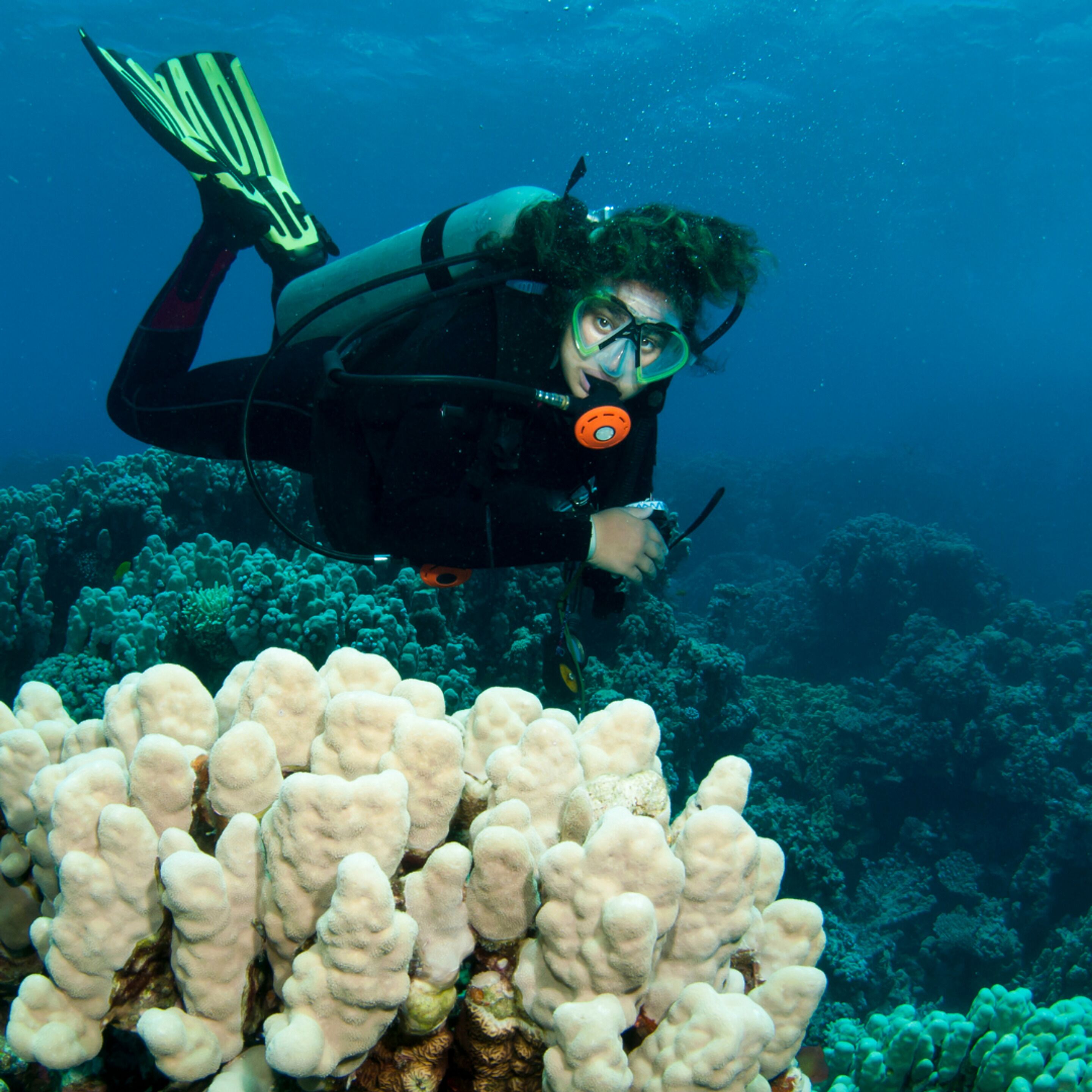 Kona Reef by Casago