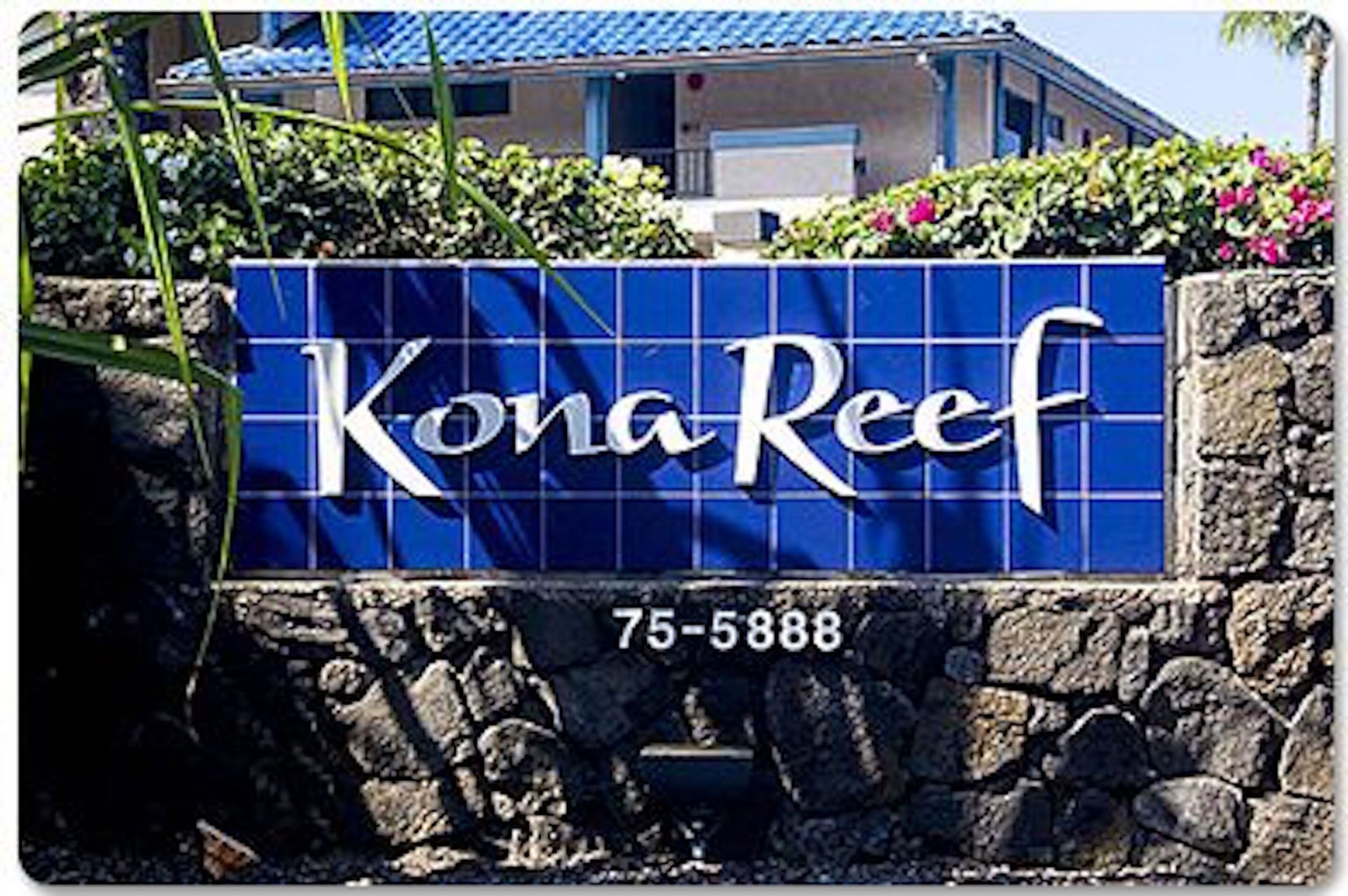 Kona Reef by Casago