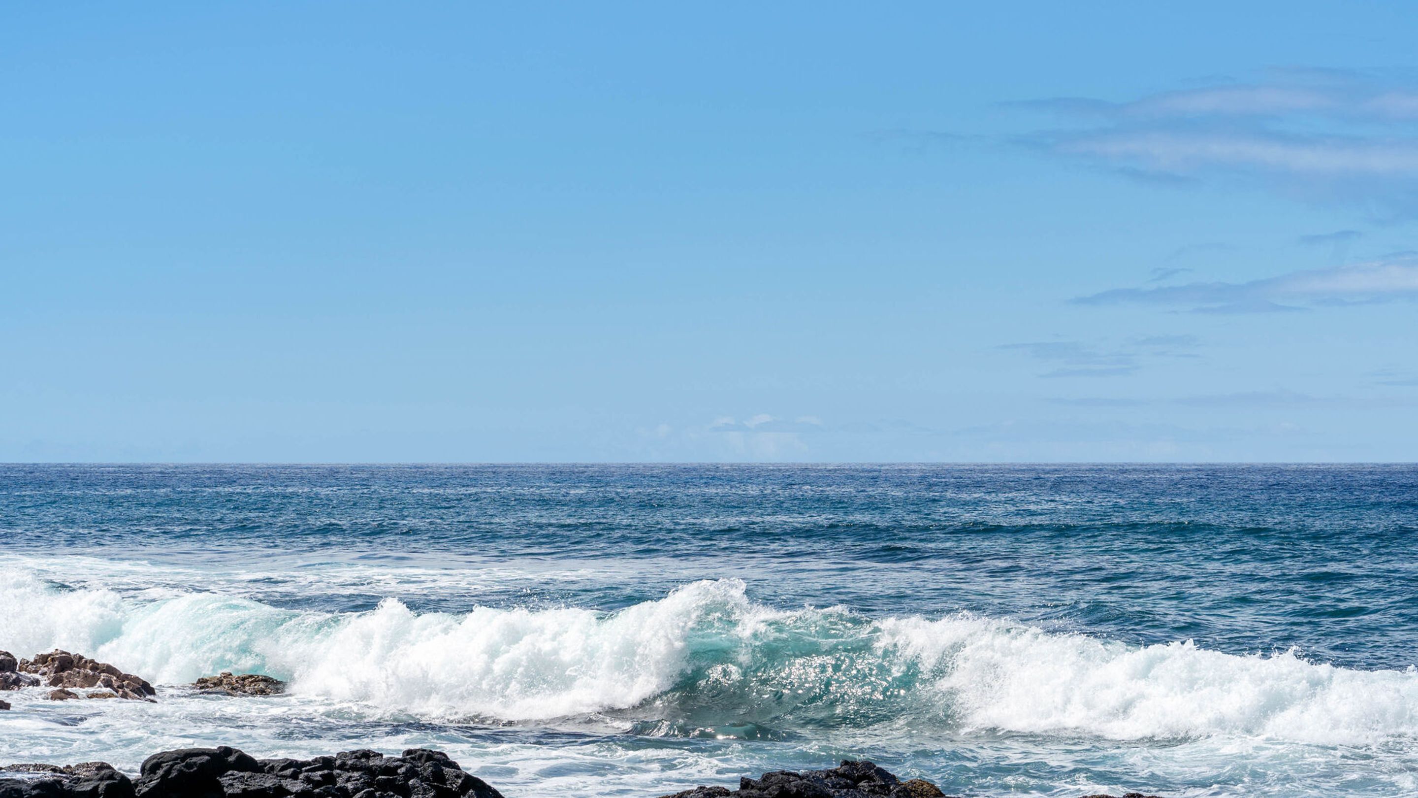 Kona Reef by Casago