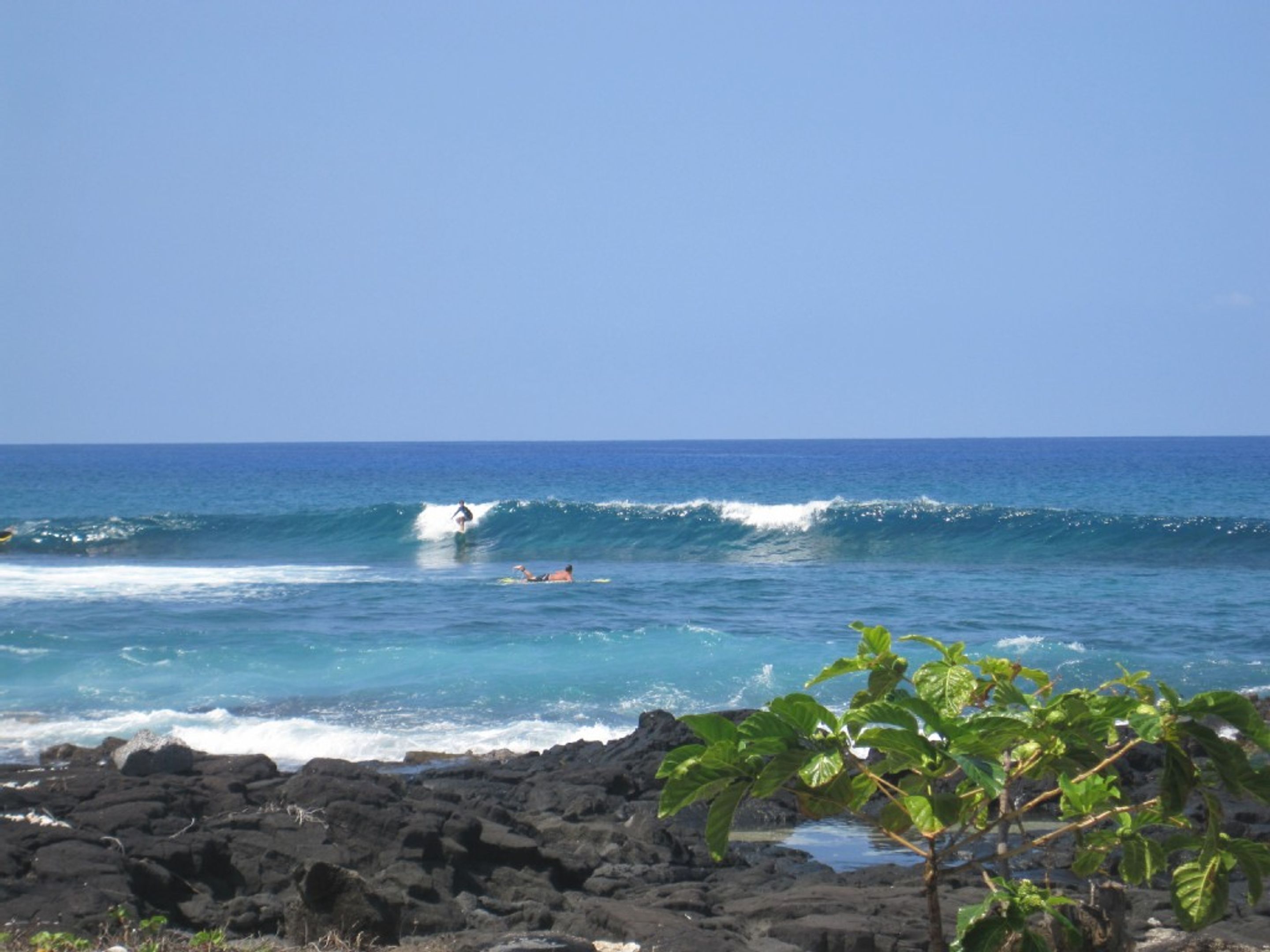 Kona Reef by Casago