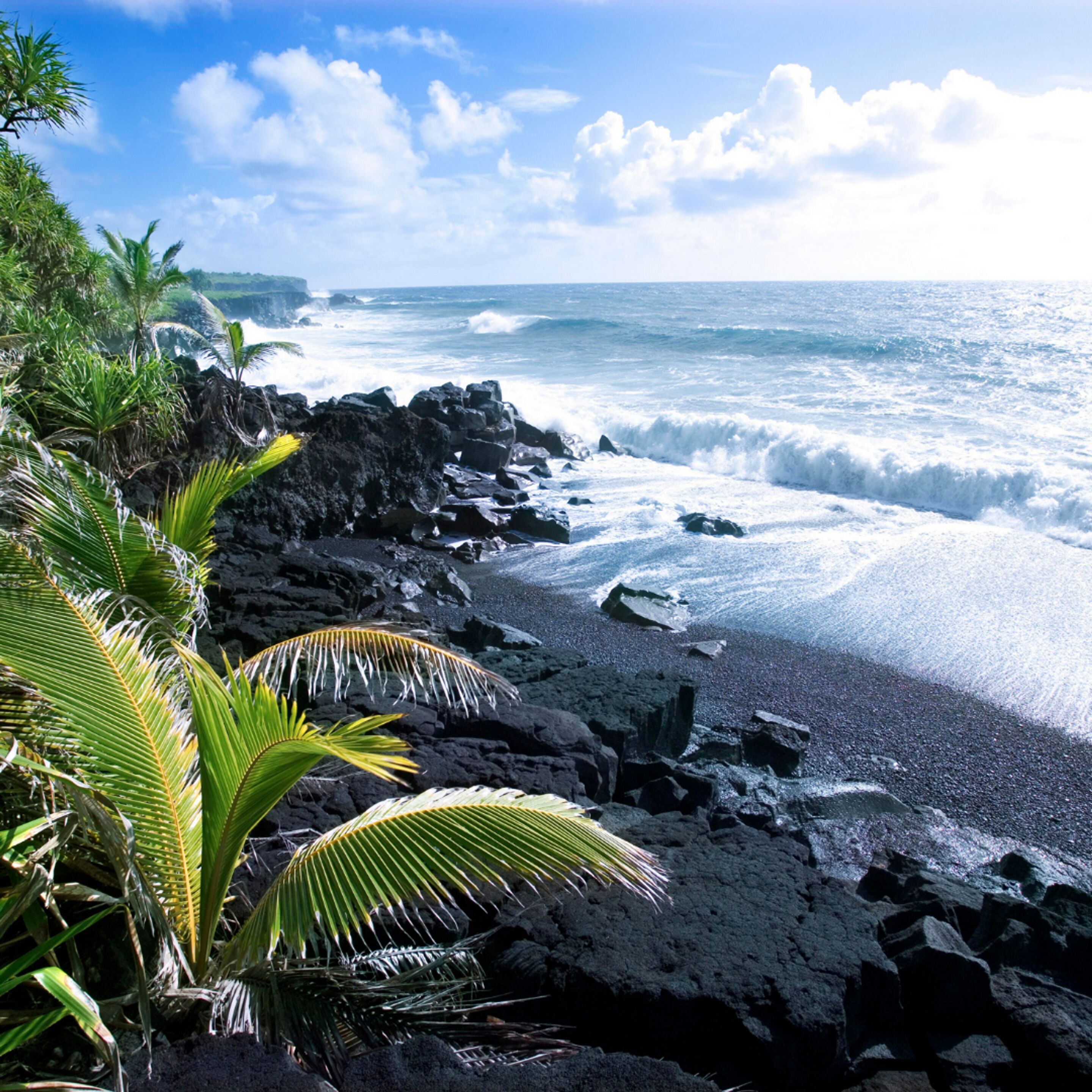 Kona Reef by Casago