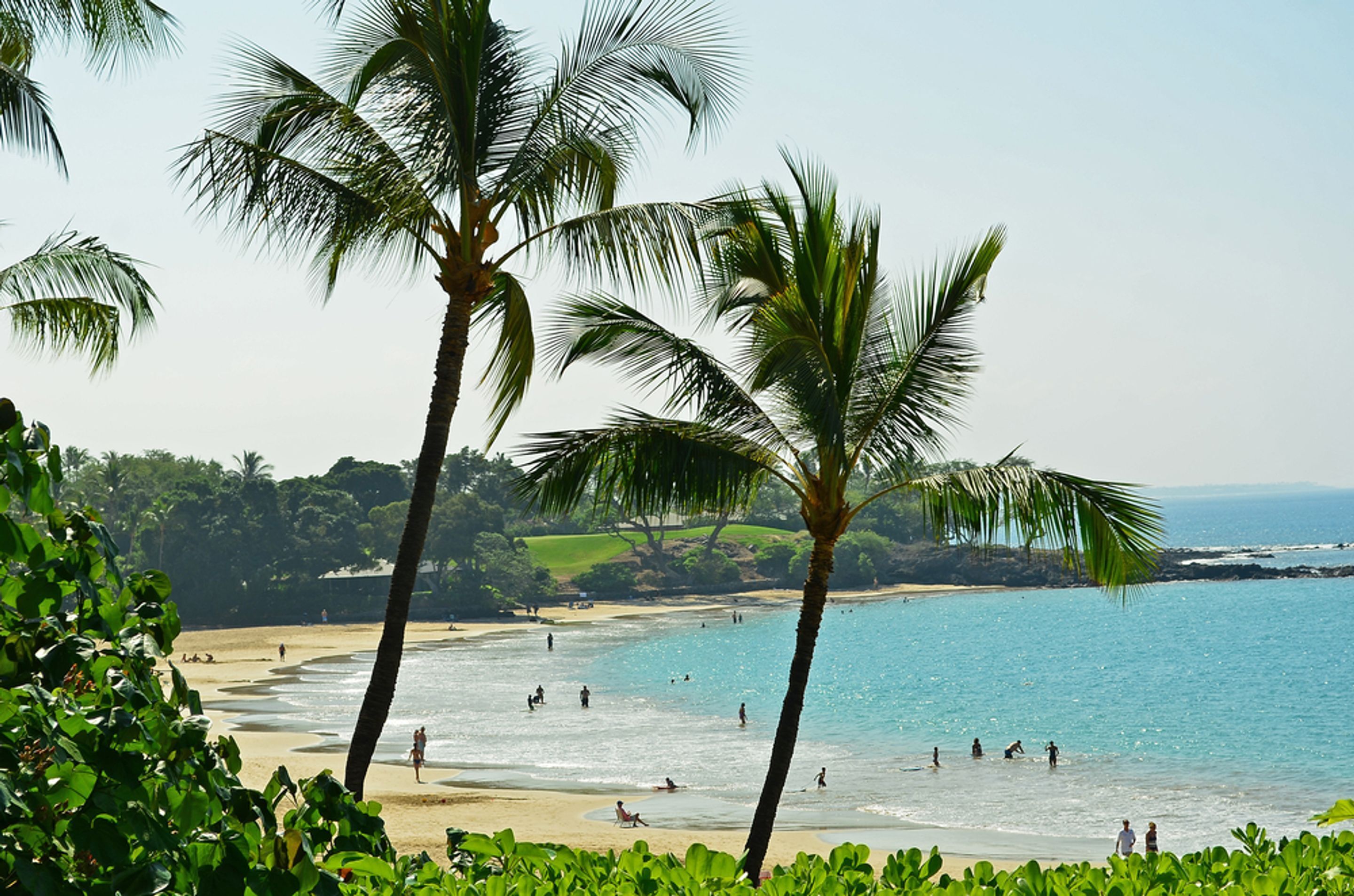 Kona Reef by Casago