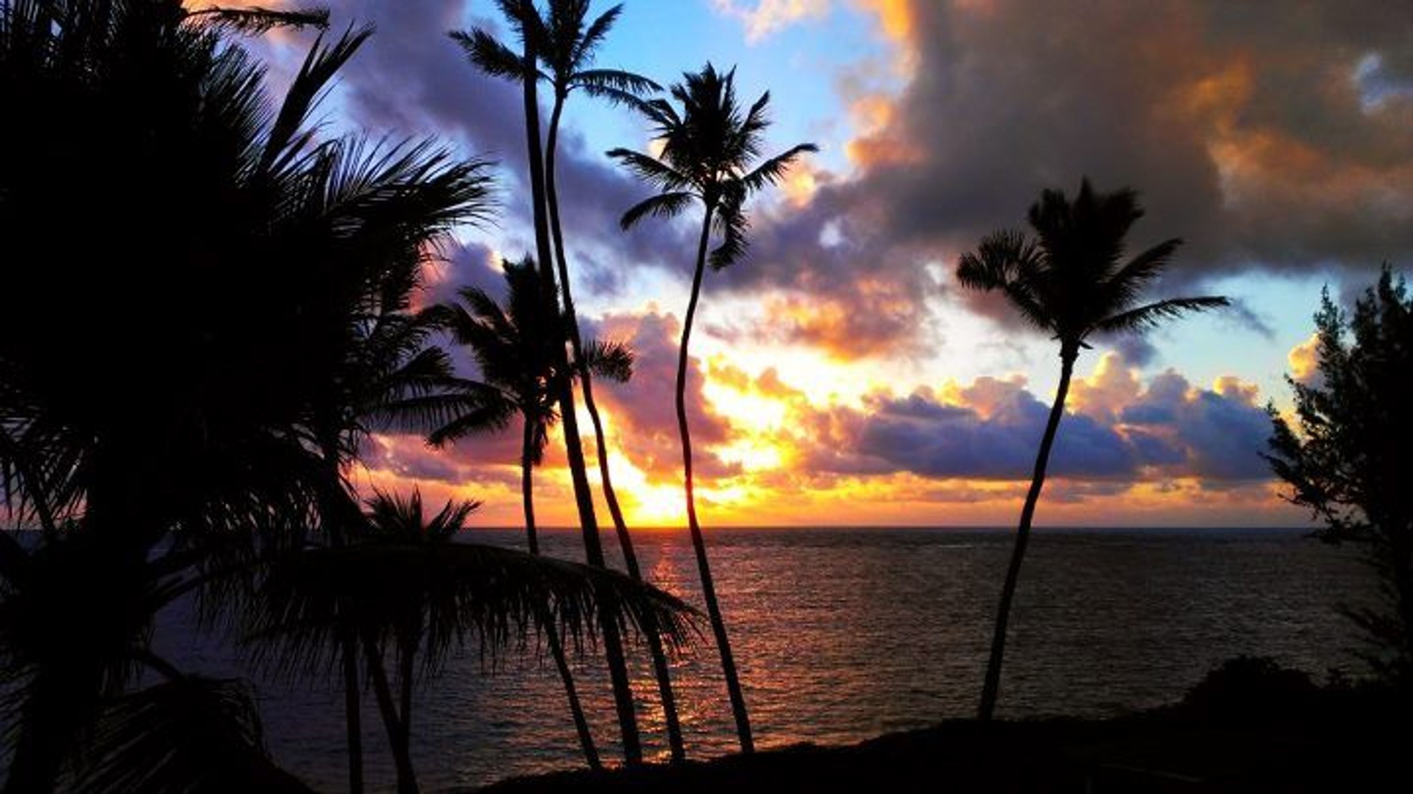 Kona Reef by Casago