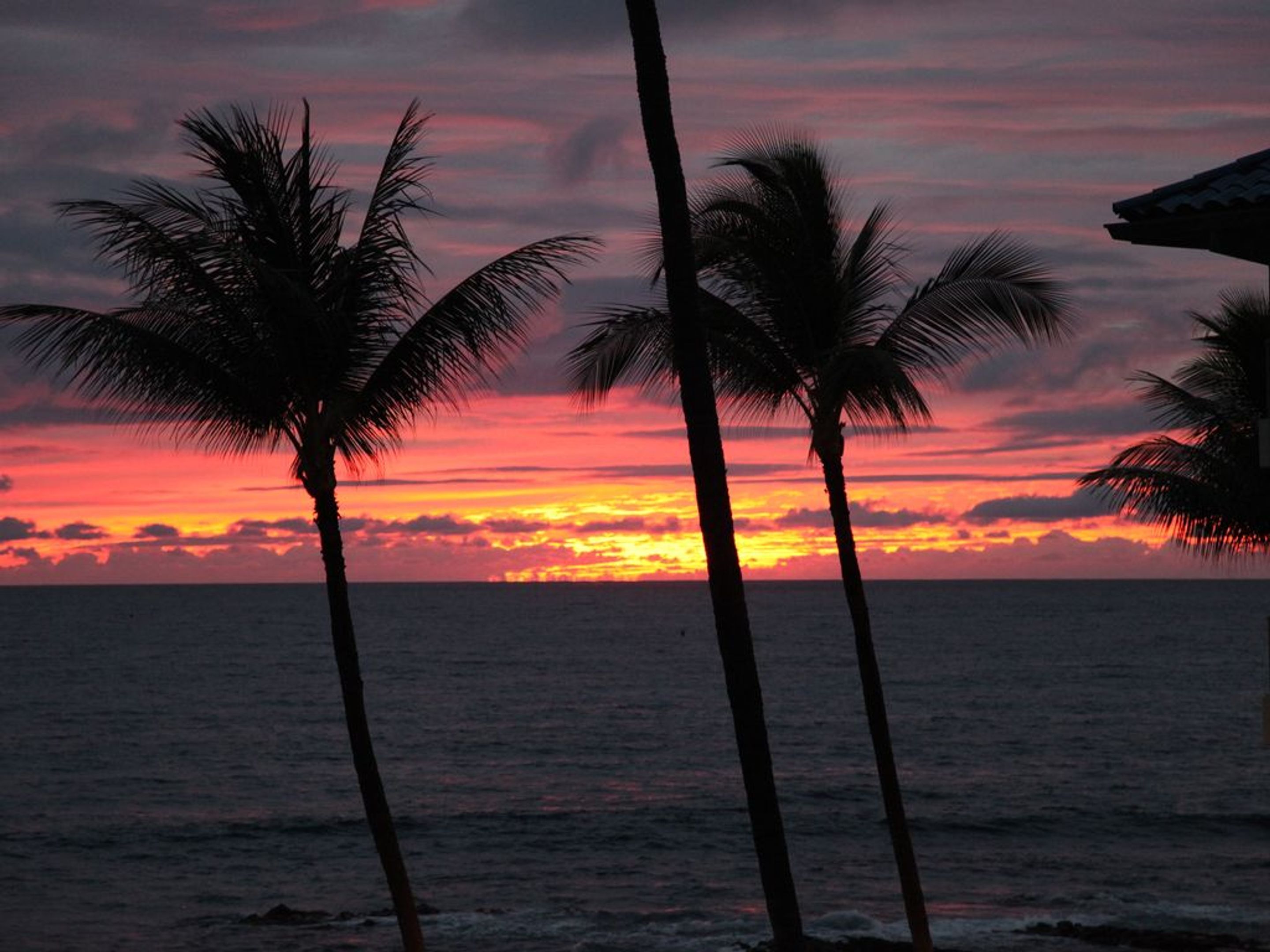 Kona Reef by Casago