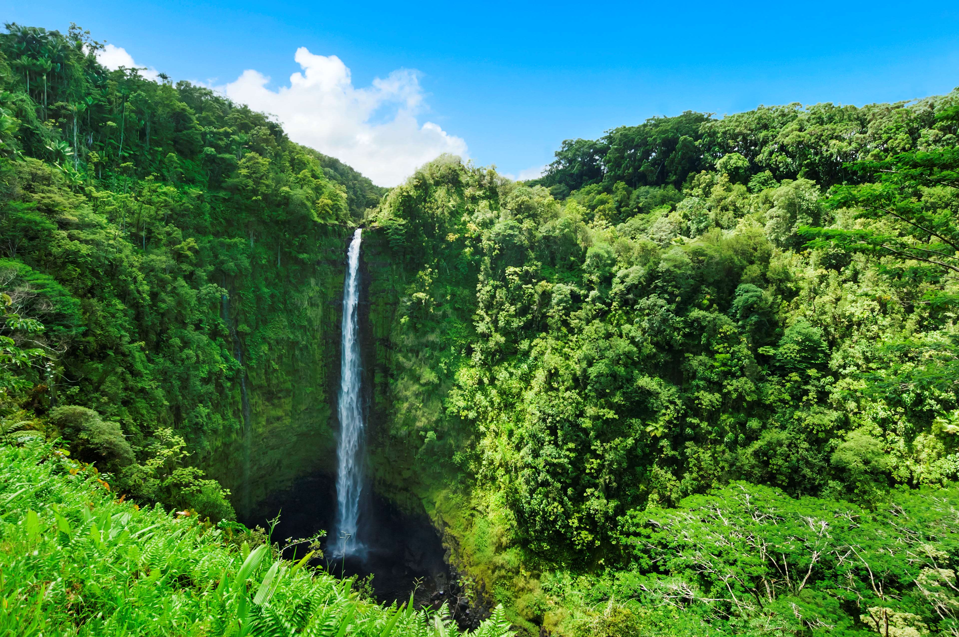 OUTRIGGER Kona Resort & Spa