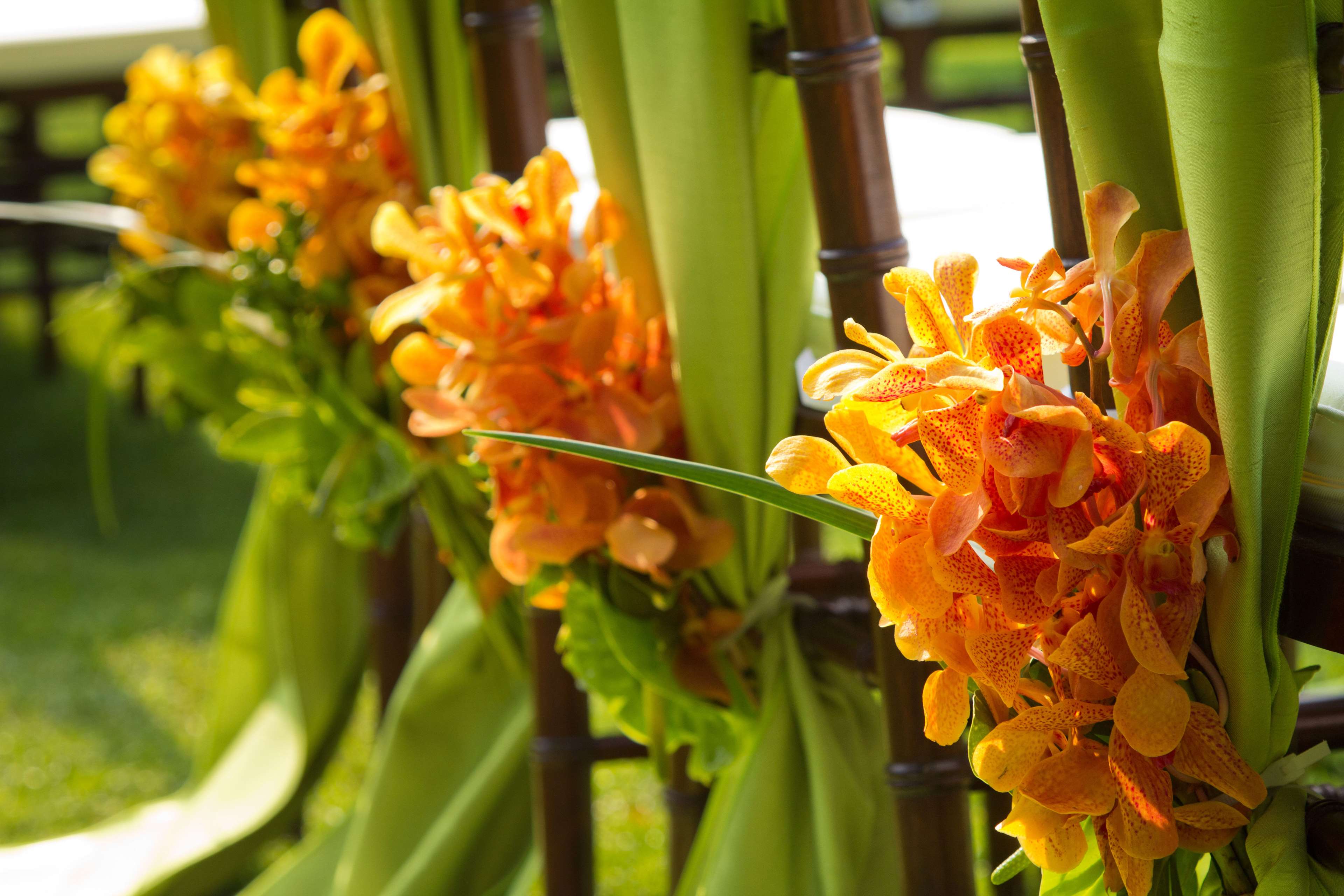 OUTRIGGER Kona Resort & Spa