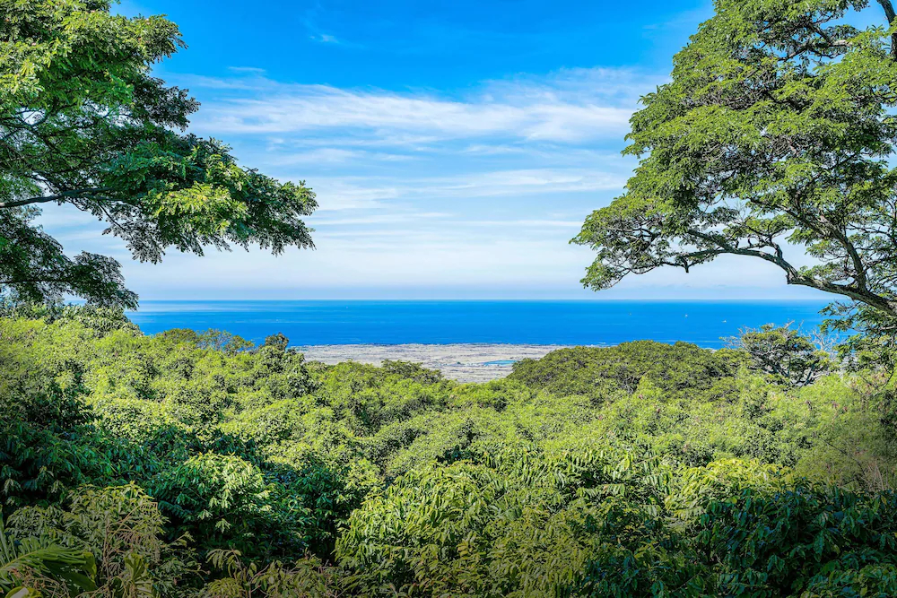 Villa Cinco Resort At Kona Plantation Estates