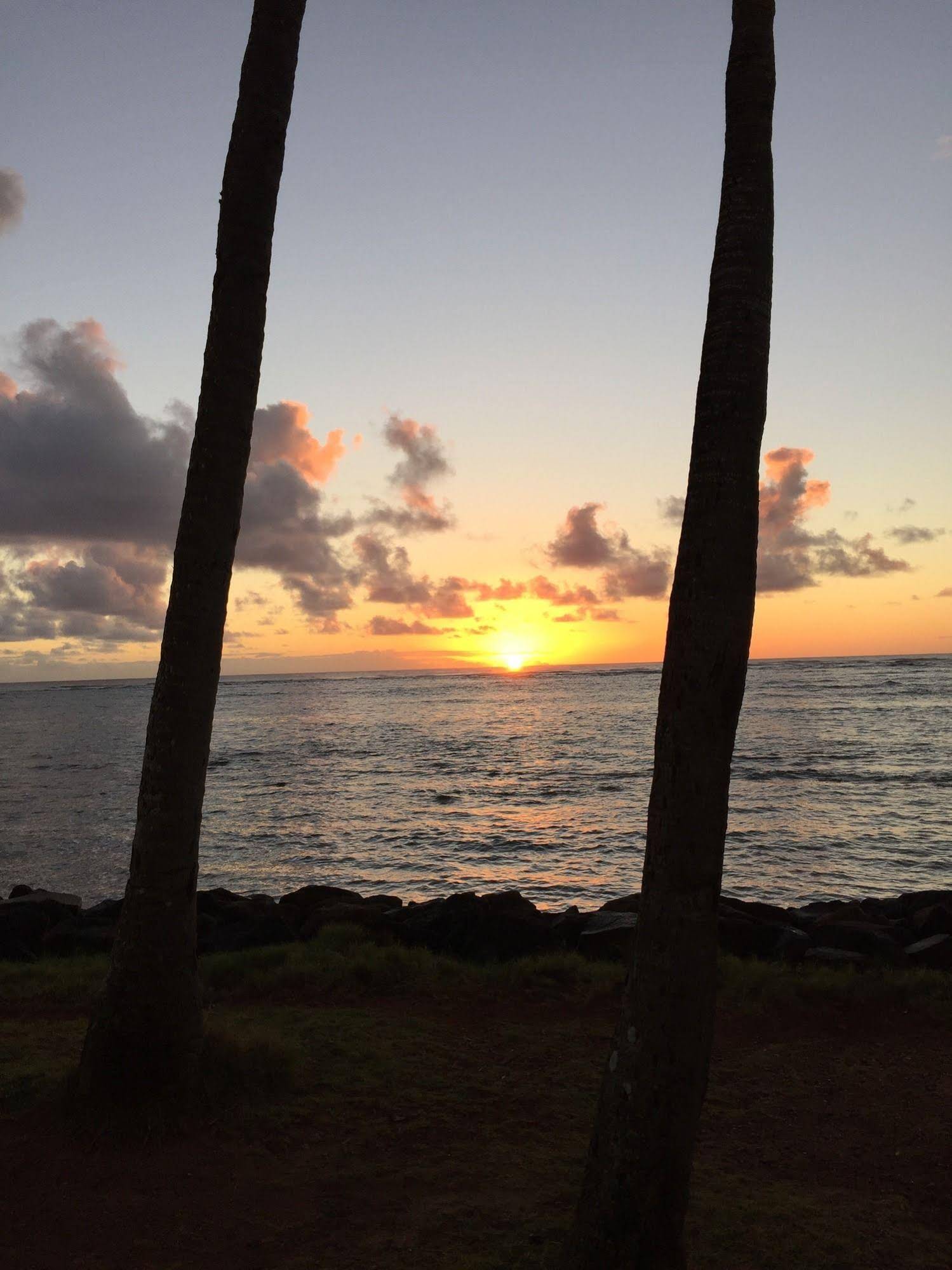 Hotel Coral Reef Resort