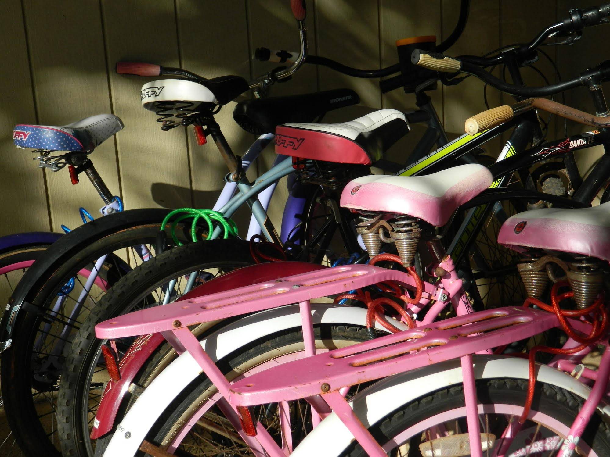 Hotel Coral Reef Resort