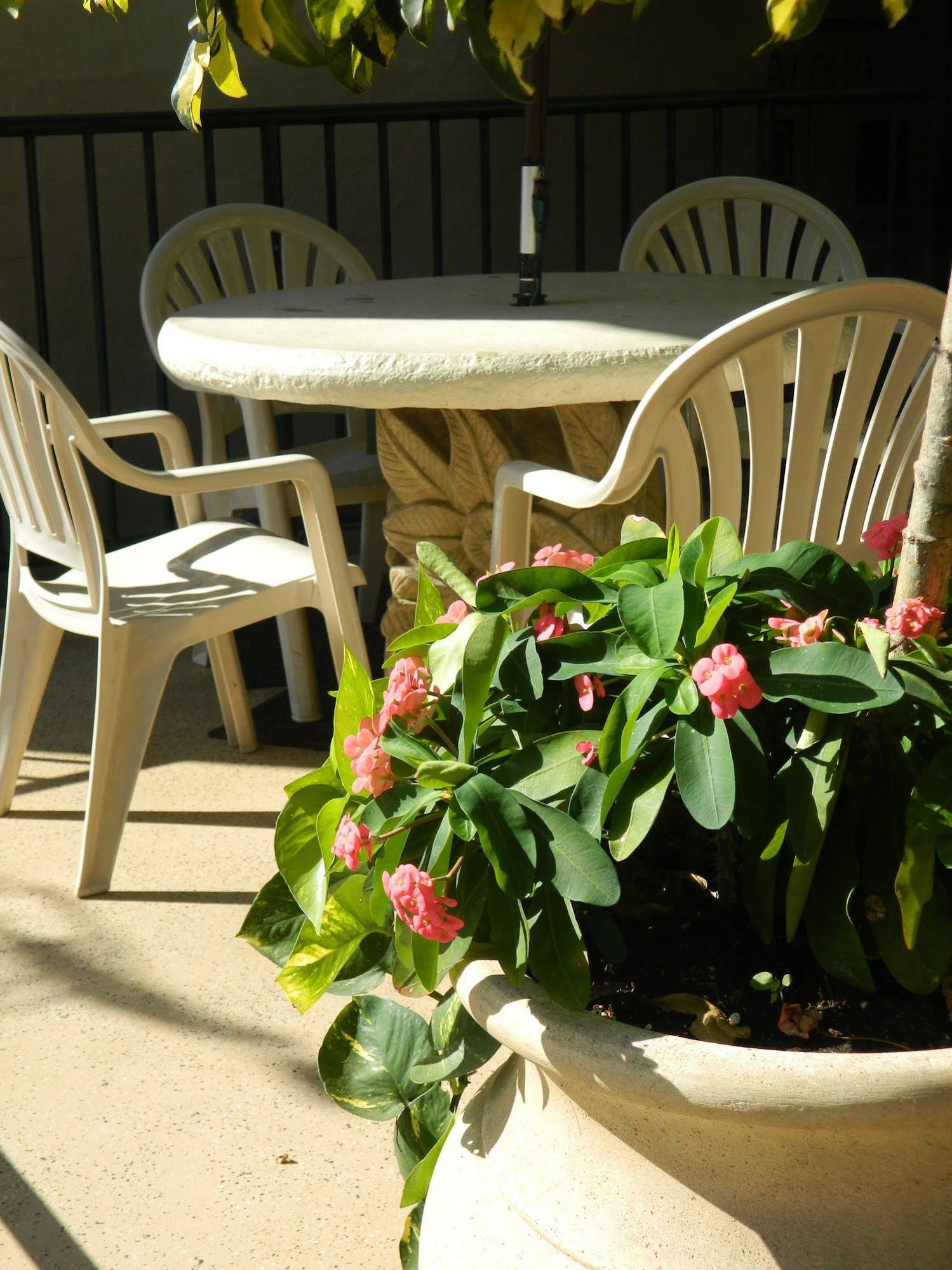 Hotel Coral Reef Resort