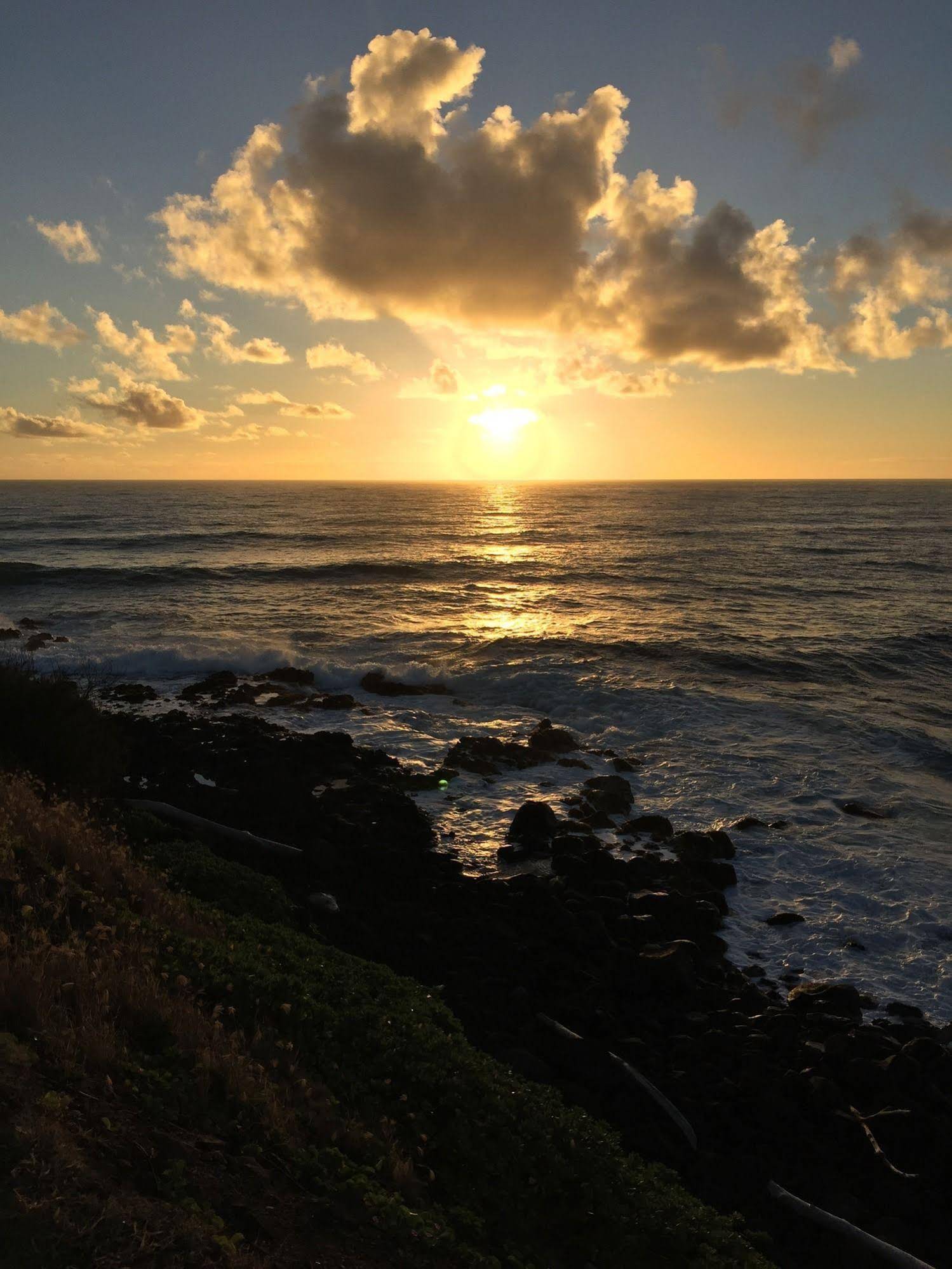 Hotel Coral Reef Resort