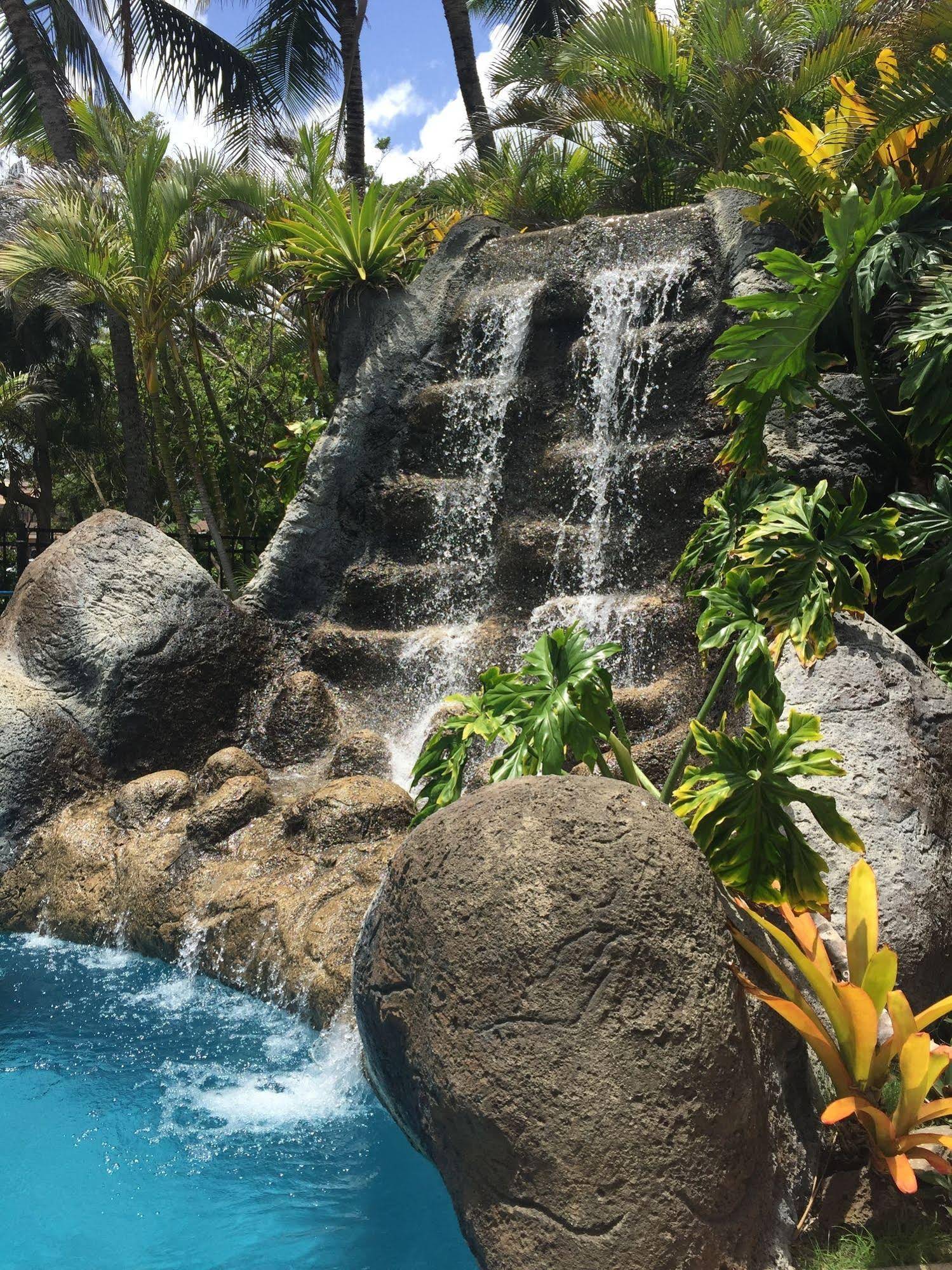 Hotel Coral Reef Resort